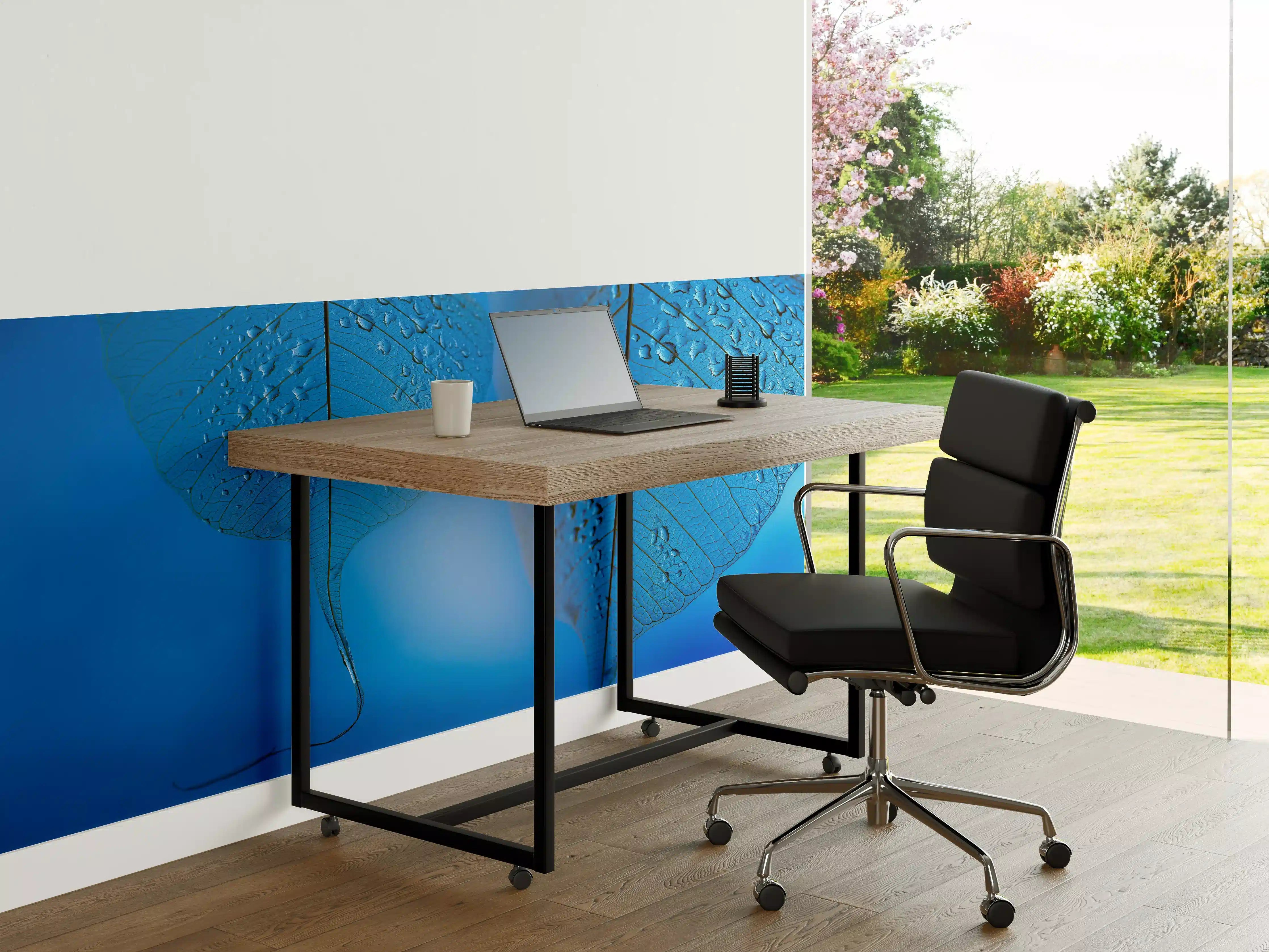 Büro Wandgestaltung - Blaues Tautropfen Blatt Makro