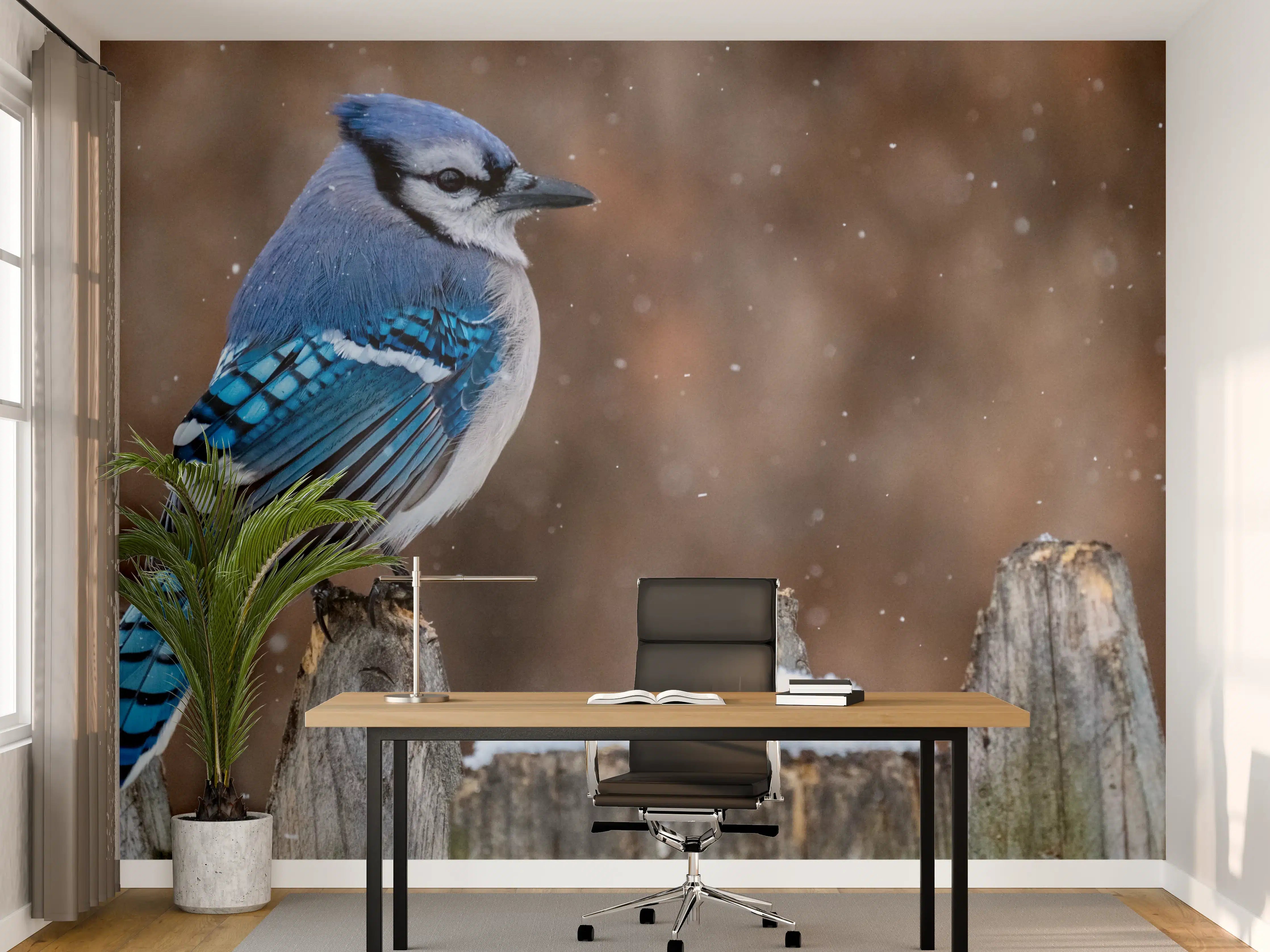 Büro Wandgestaltung - Blauhäher im Schnee