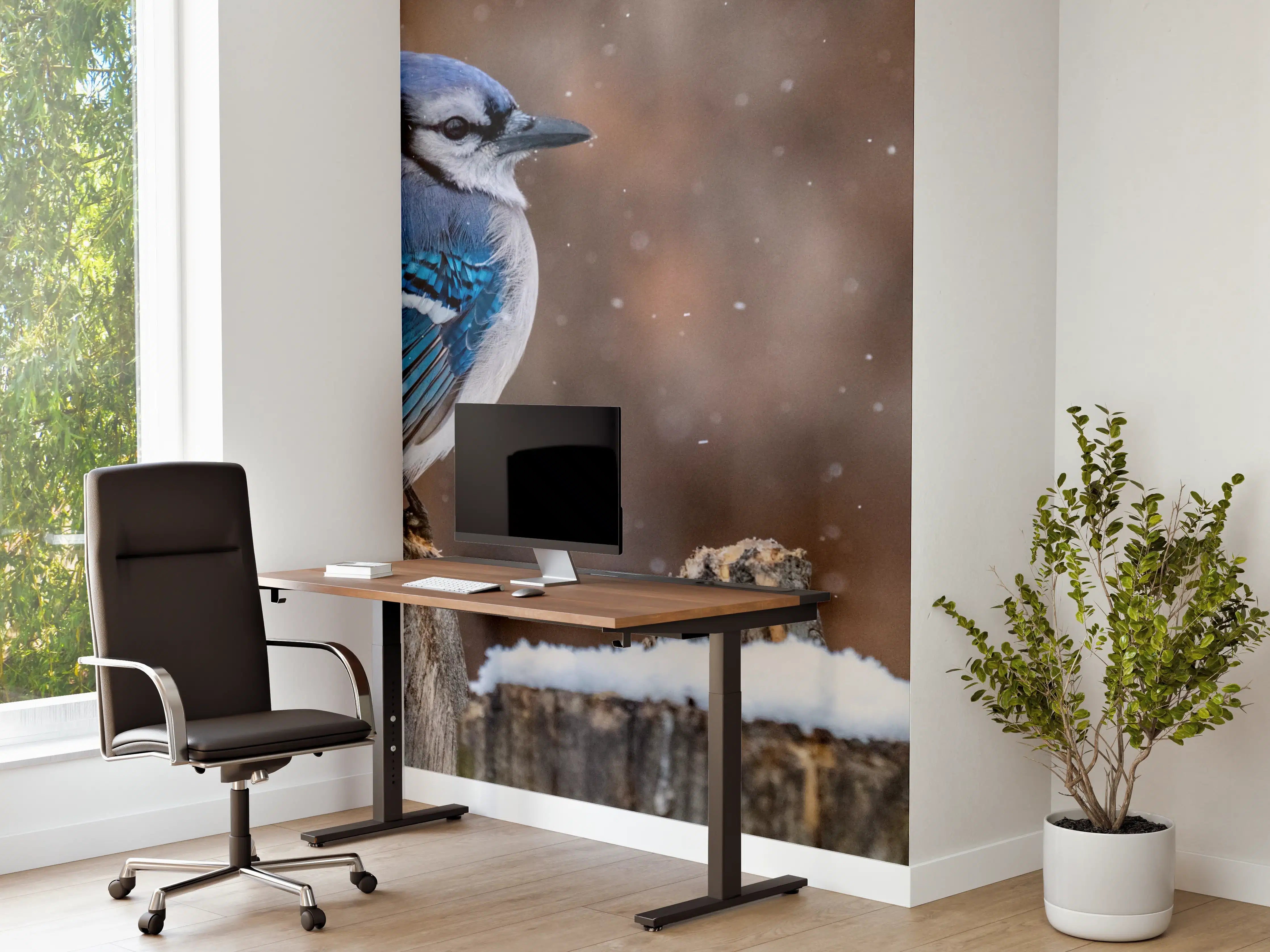 Büro Wandgestaltung - Blauhäher im Schnee