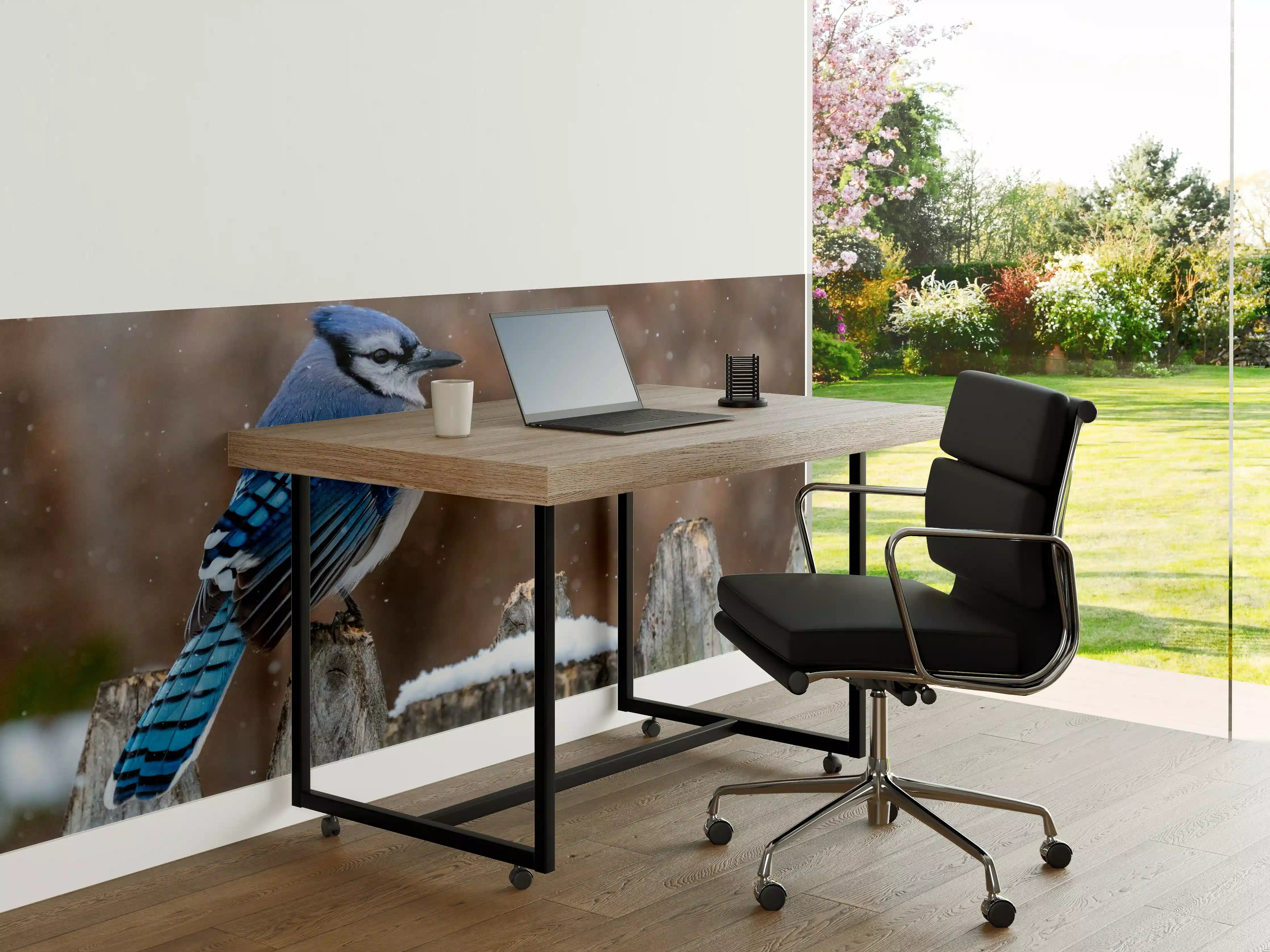 Büro Wandgestaltung - Blauhäher im Schnee