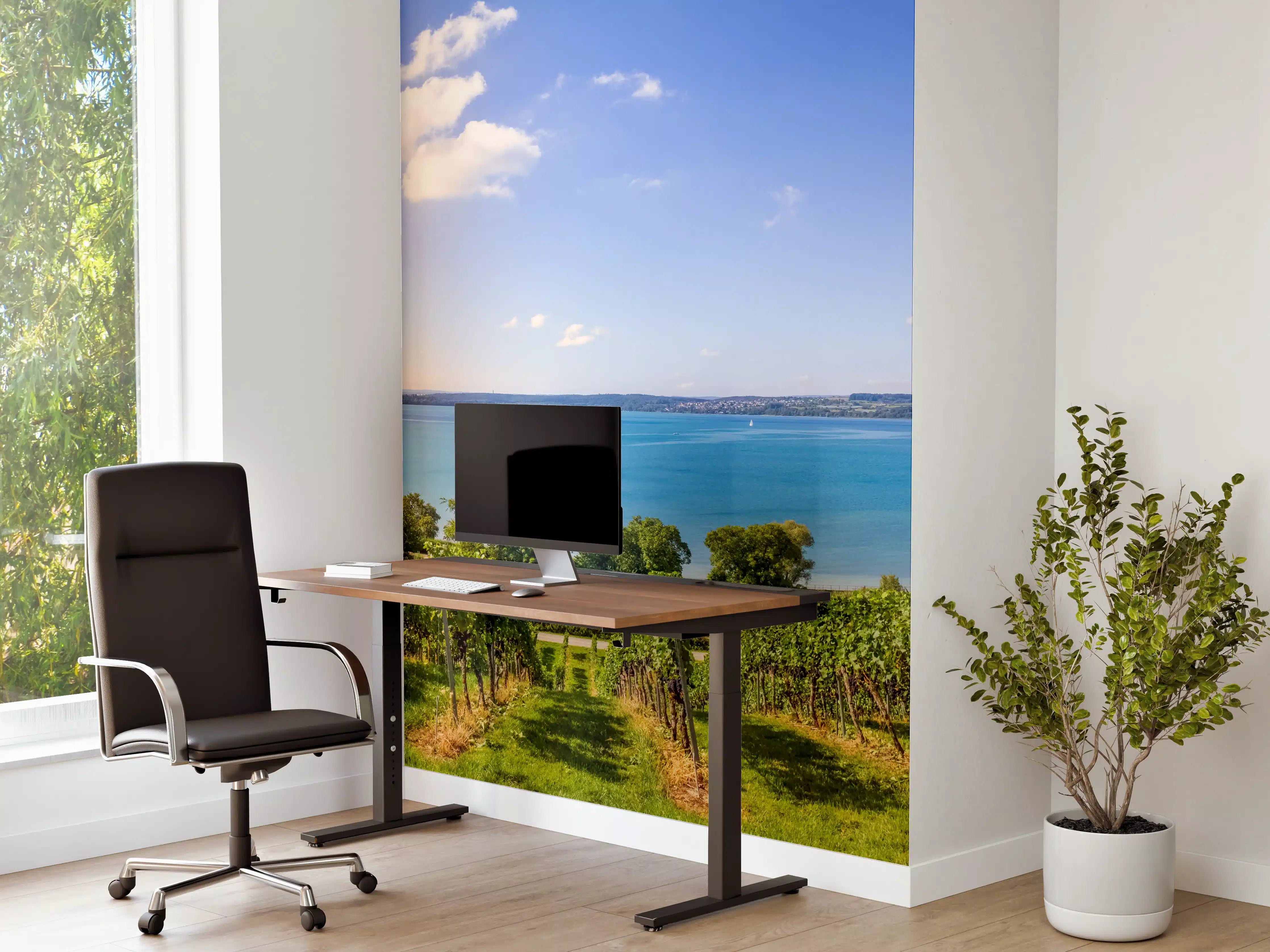 Büro Wandgestaltung - Bodensee Panorama in Birnau