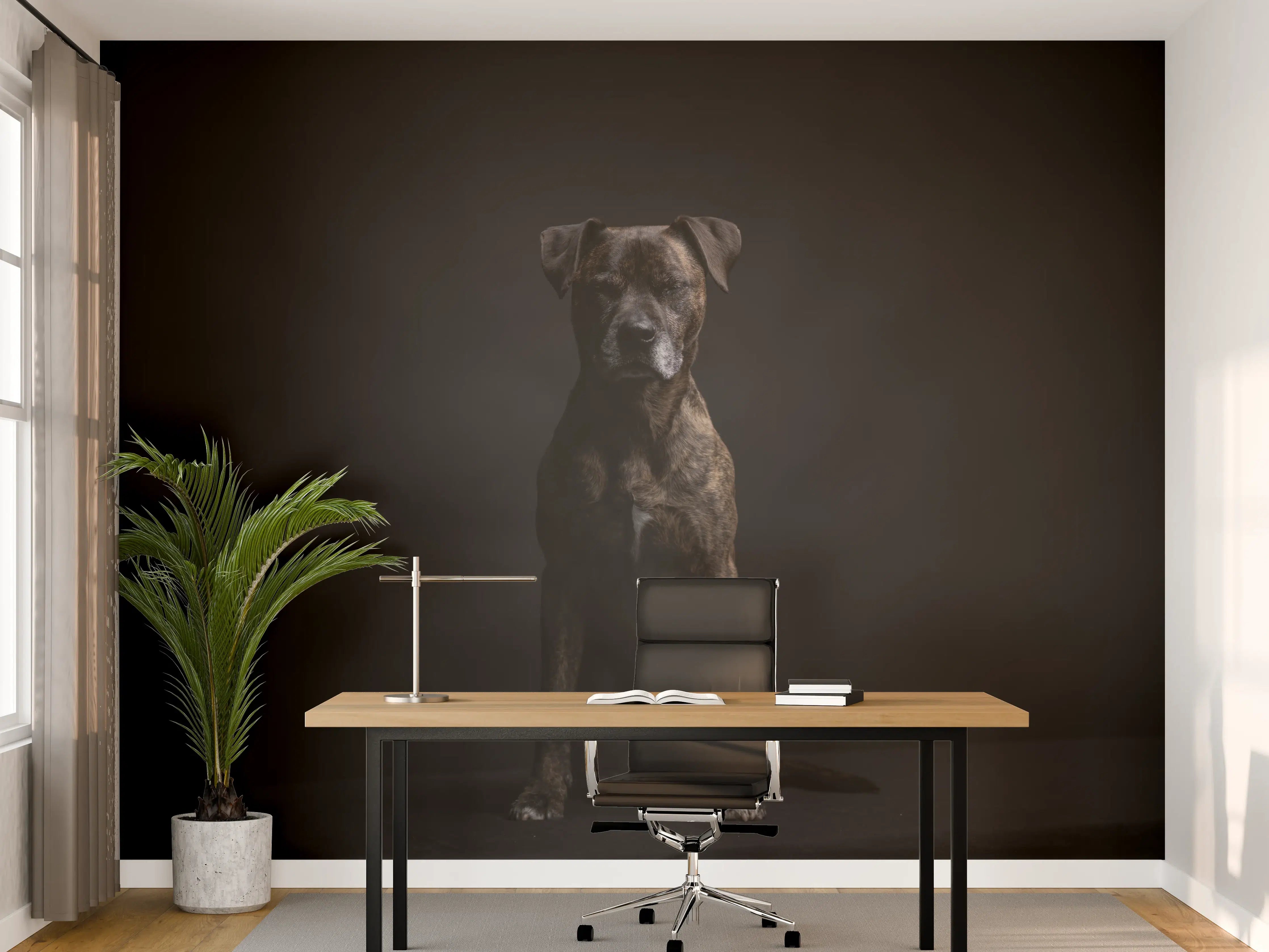 Büro Wandgestaltung - Boxer Staffordshire Hund
