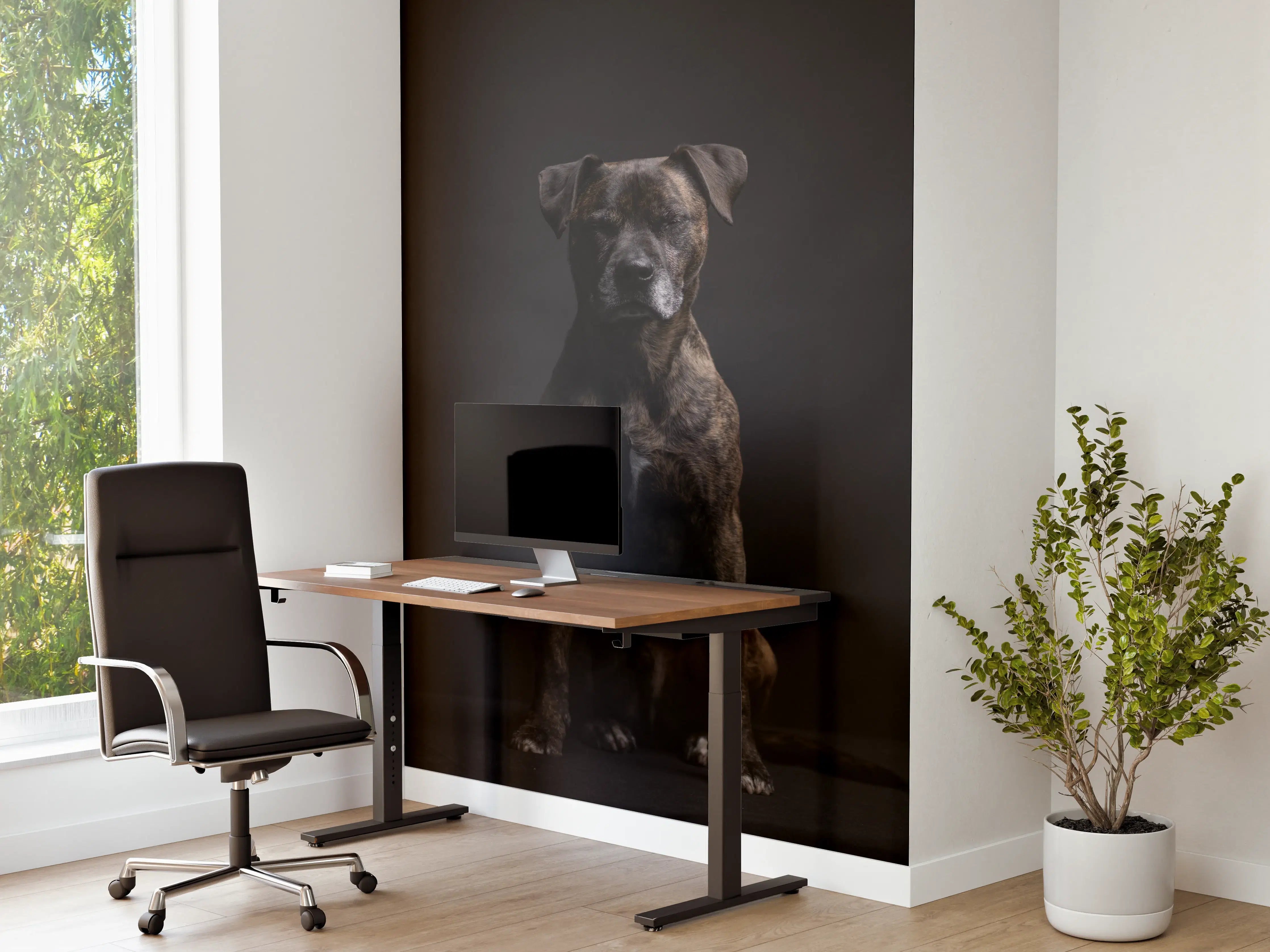 Büro Wandgestaltung - Boxer Staffordshire Hund