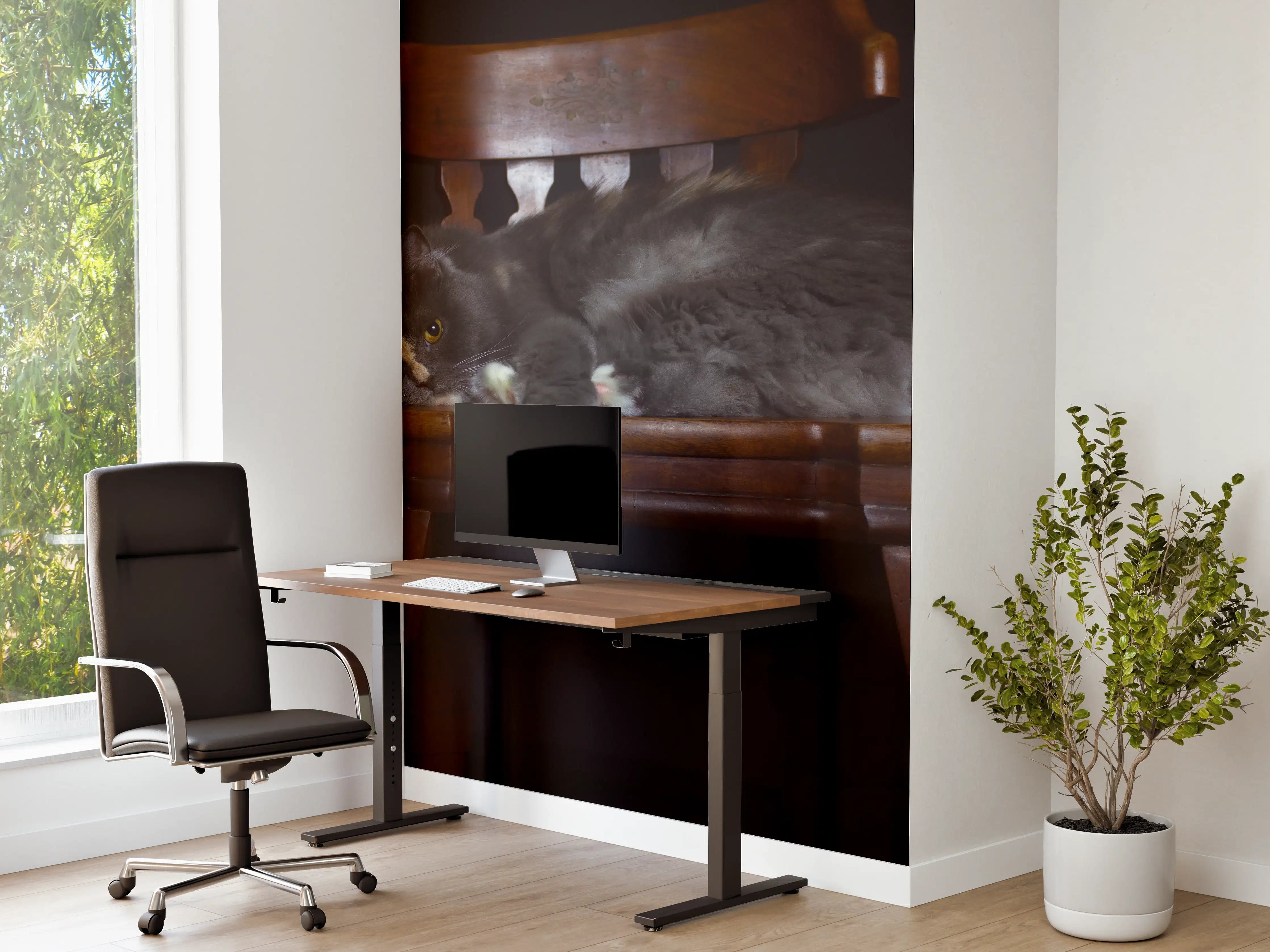 Büro Wandgestaltung - Britisch Langhaarkatze auf Holzstuhl
