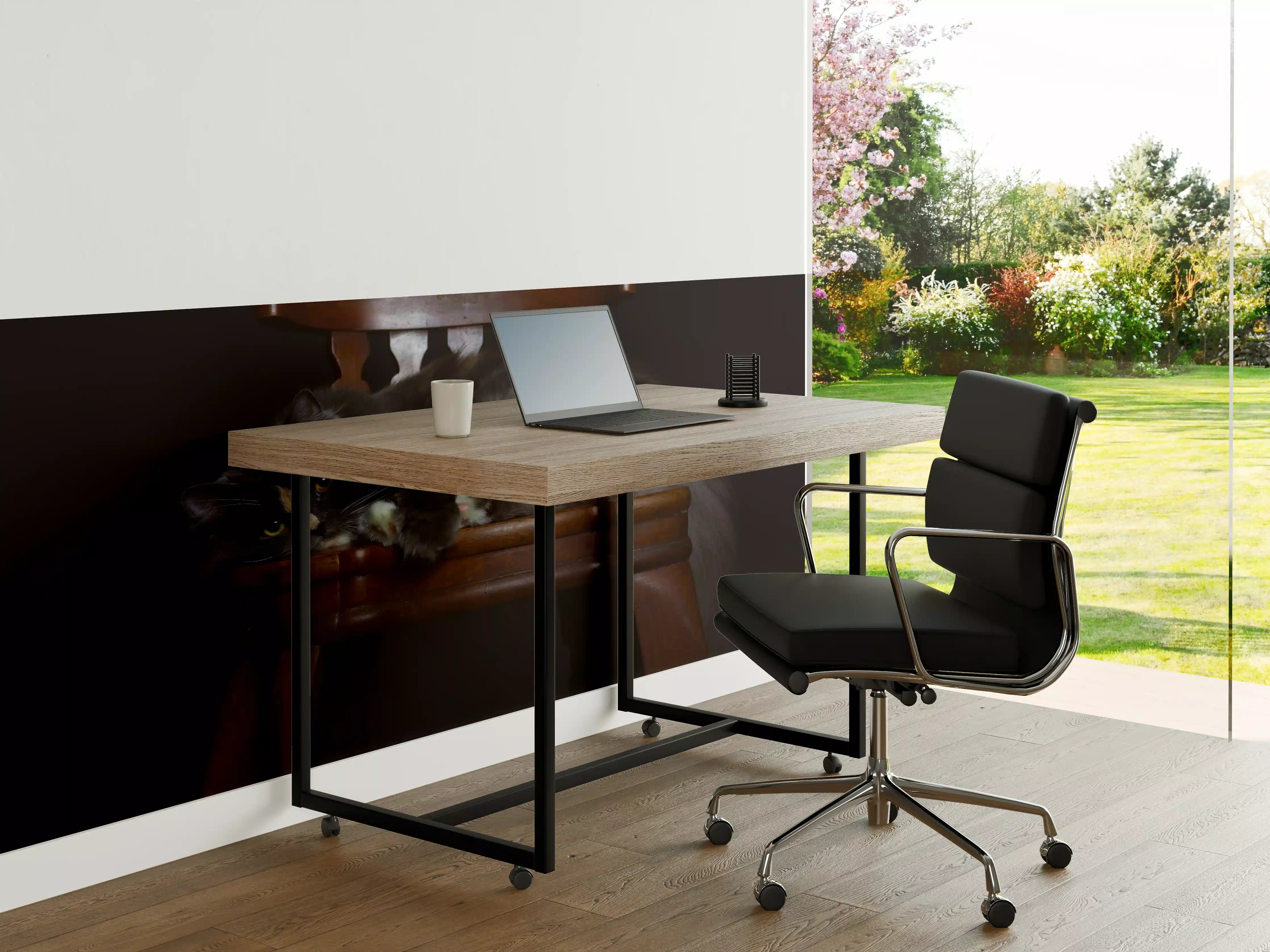 Büro Wandgestaltung - Britisch Langhaarkatze auf Holzstuhl