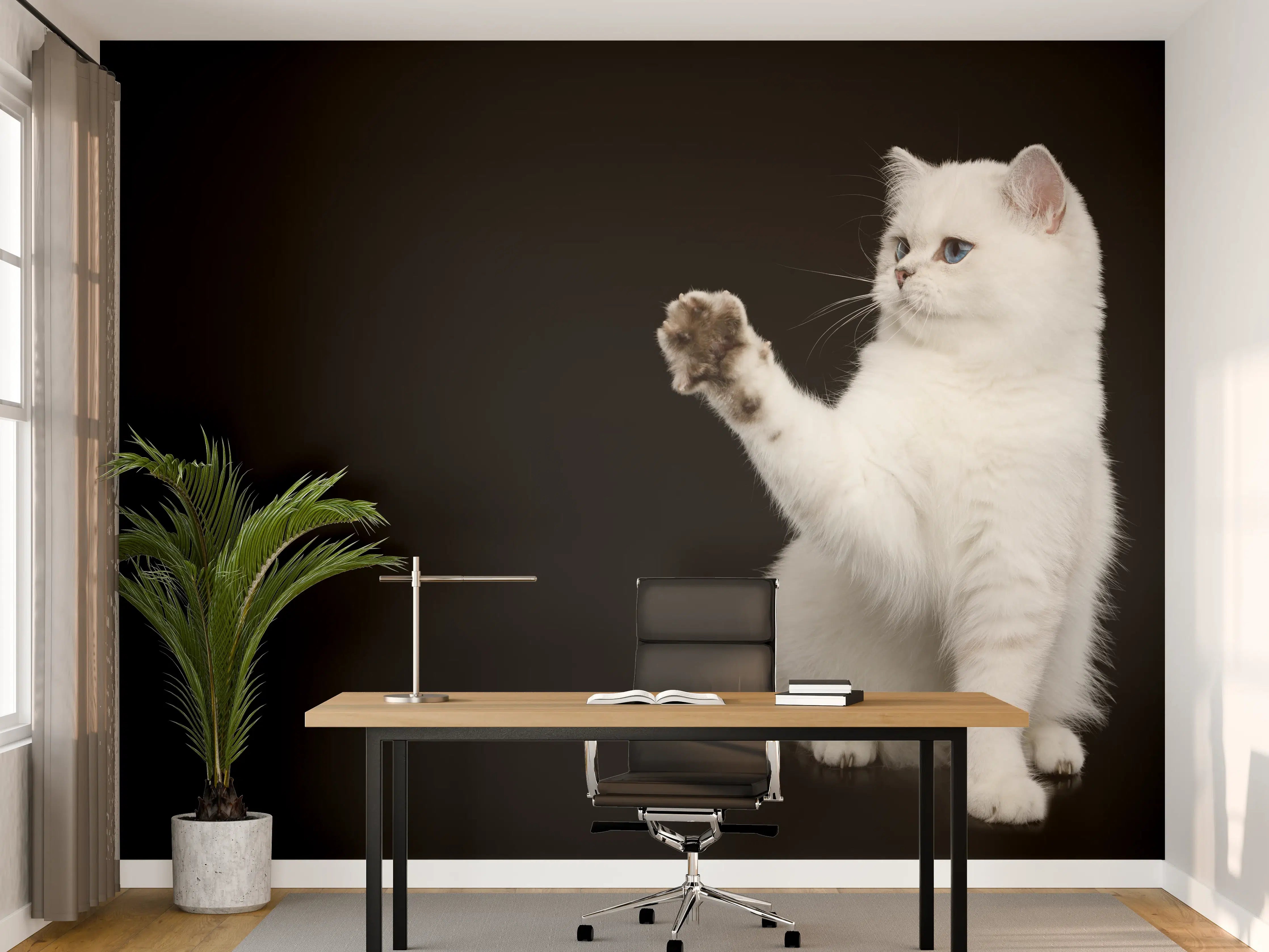 Büro Wandgestaltung - British weiße Katze
