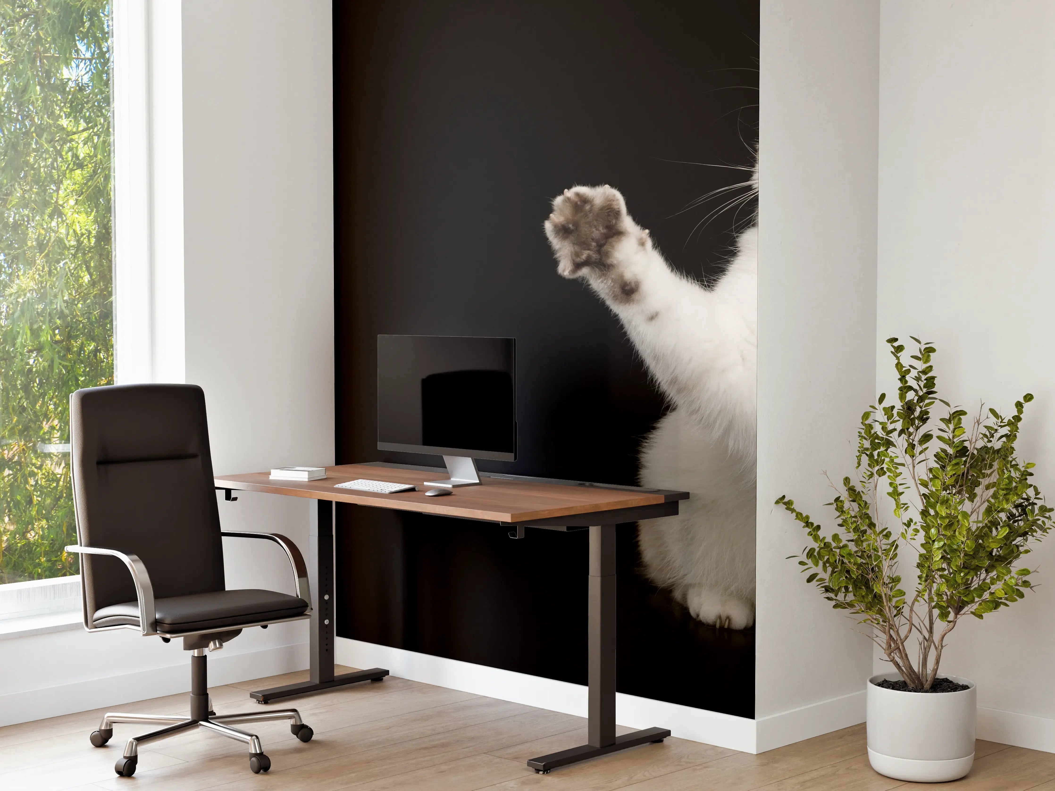 Büro Wandgestaltung - British weiße Katze
