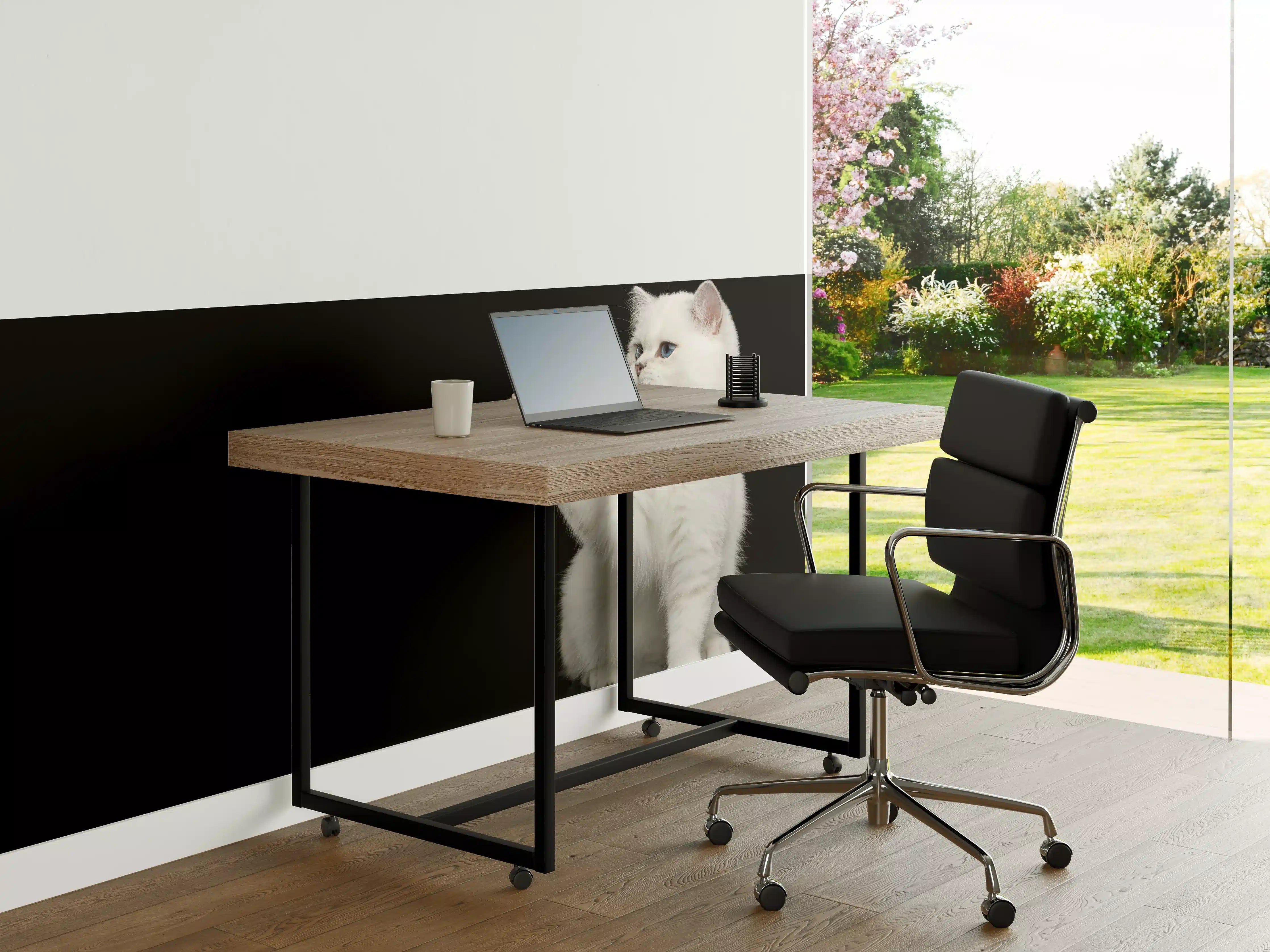 Büro Wandgestaltung - British weiße Katze