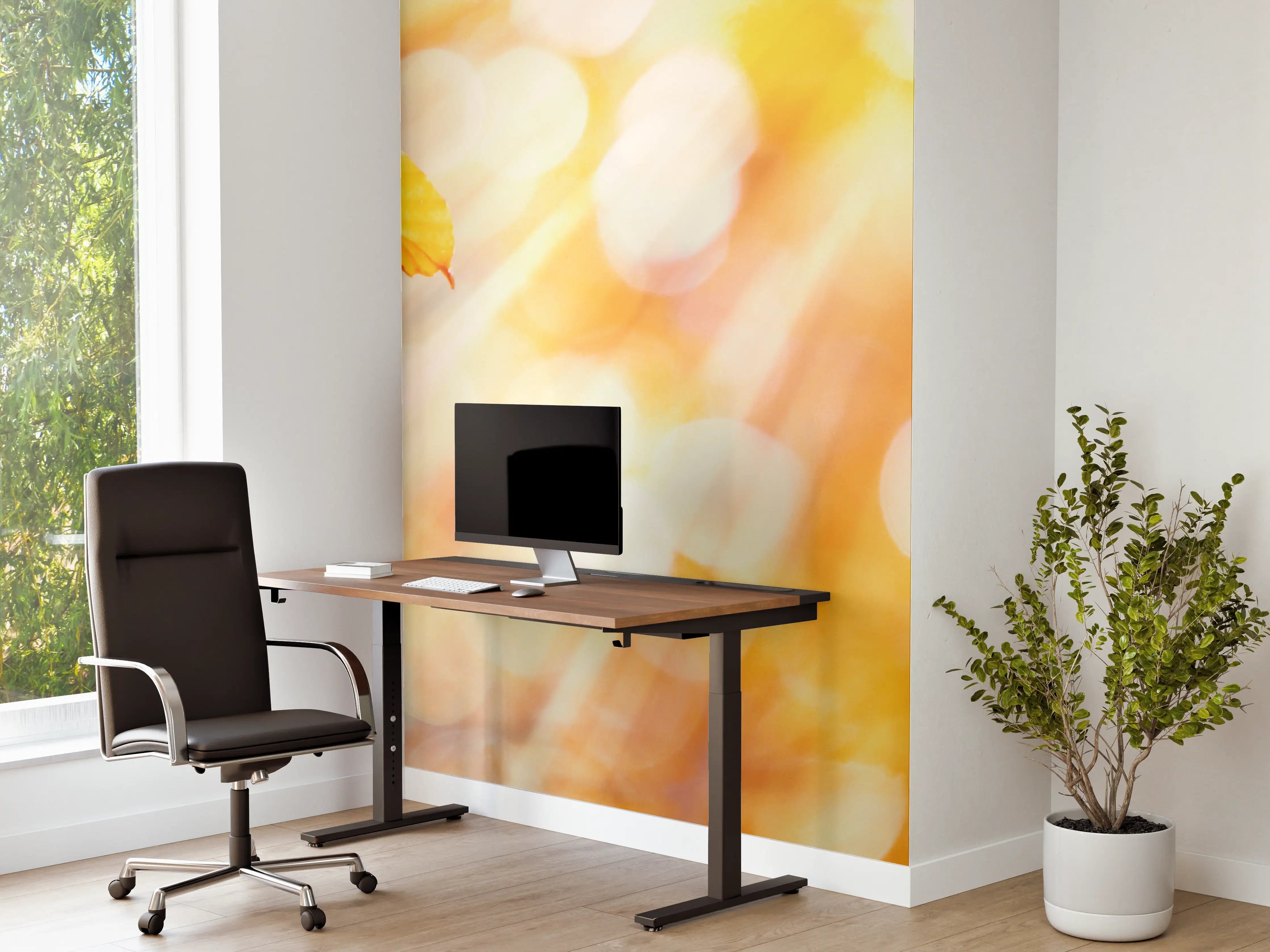 Büro Wandgestaltung - Buchenblätter im Sonnenschein