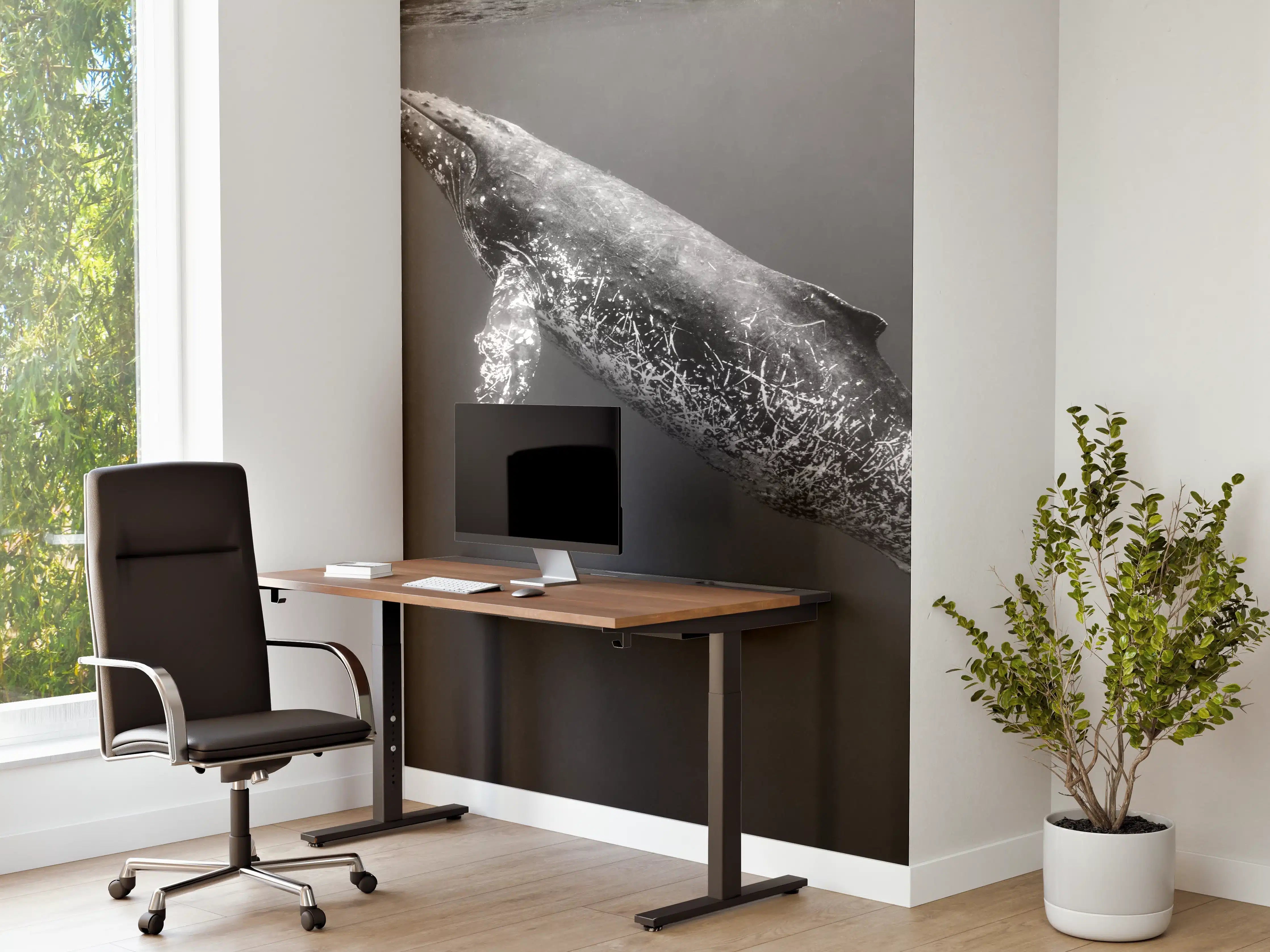 Büro Wandgestaltung - Buckelwal