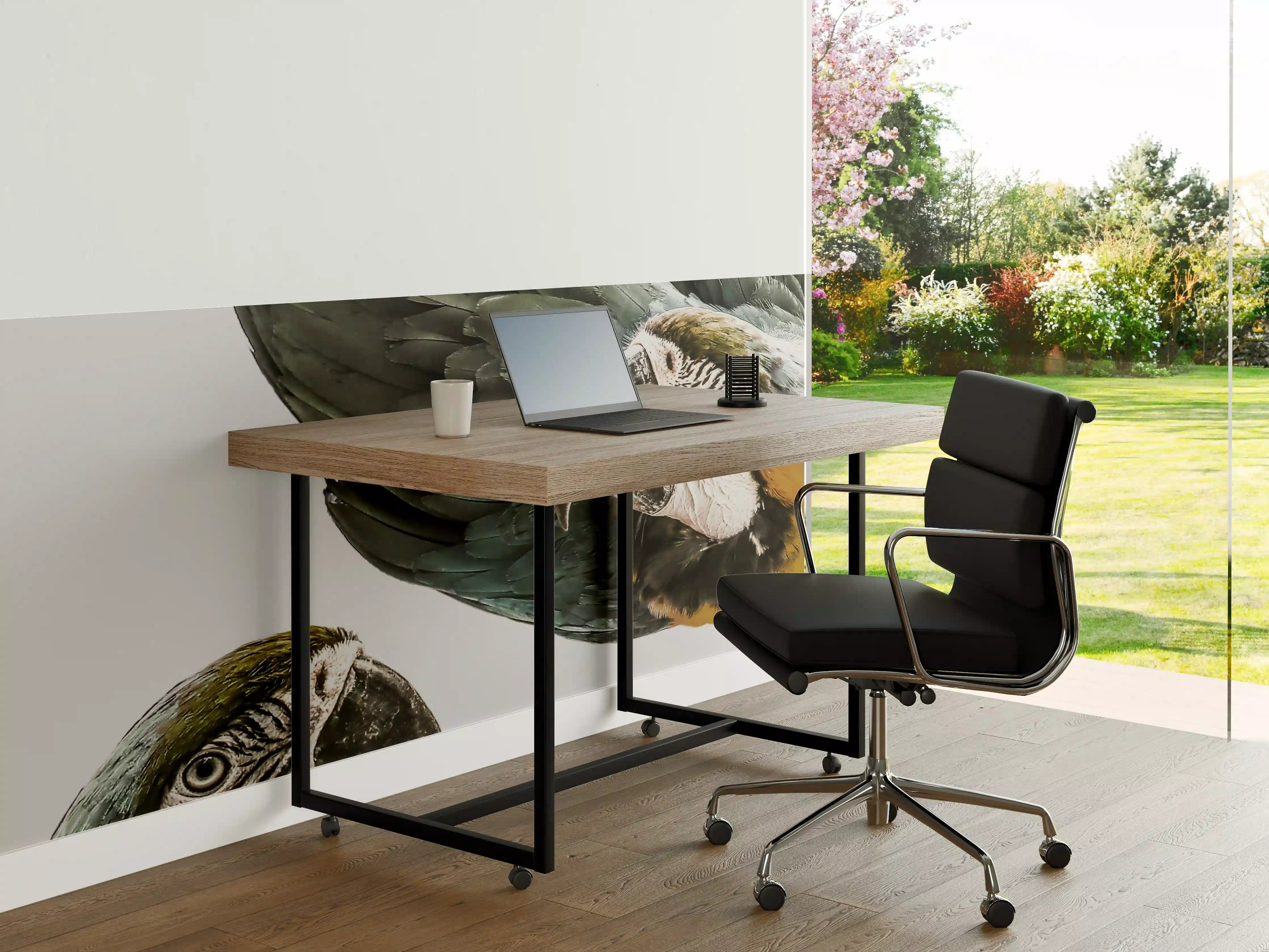 Büro Wandgestaltung - Bunte Papageien in High-Key