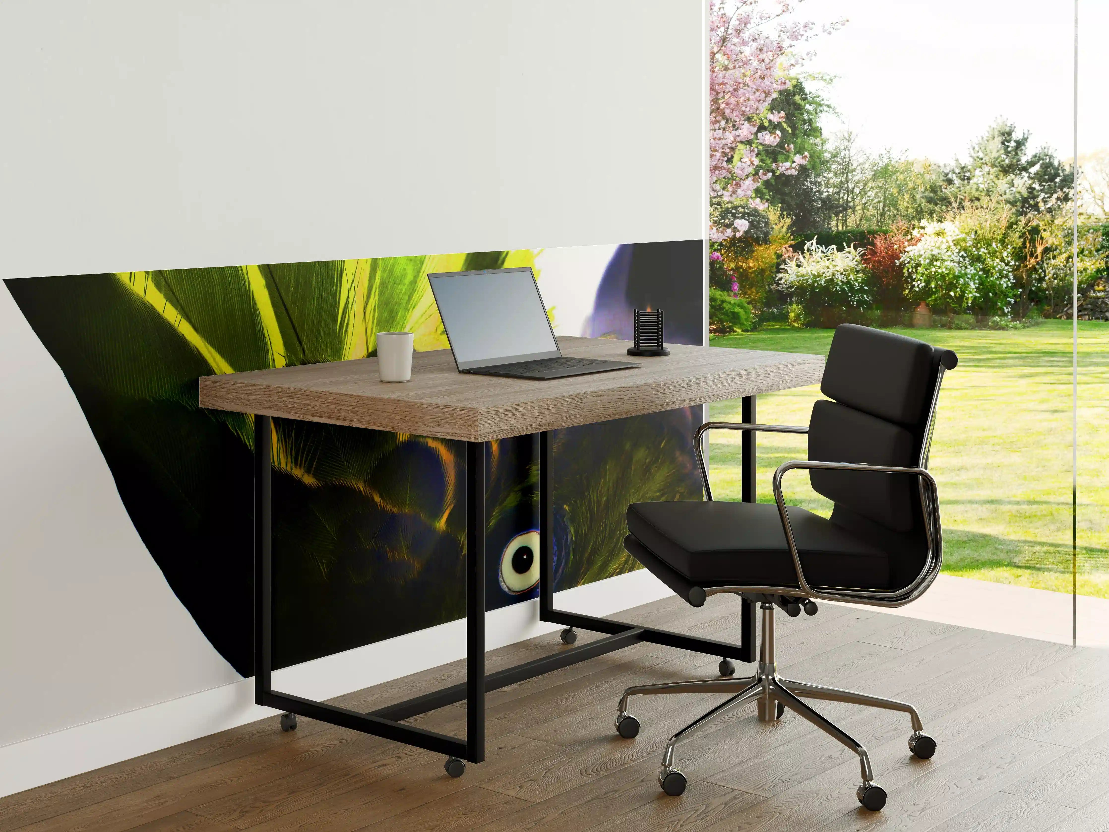 Büro Wandgestaltung - Bunter Papagei Nahaufnahme