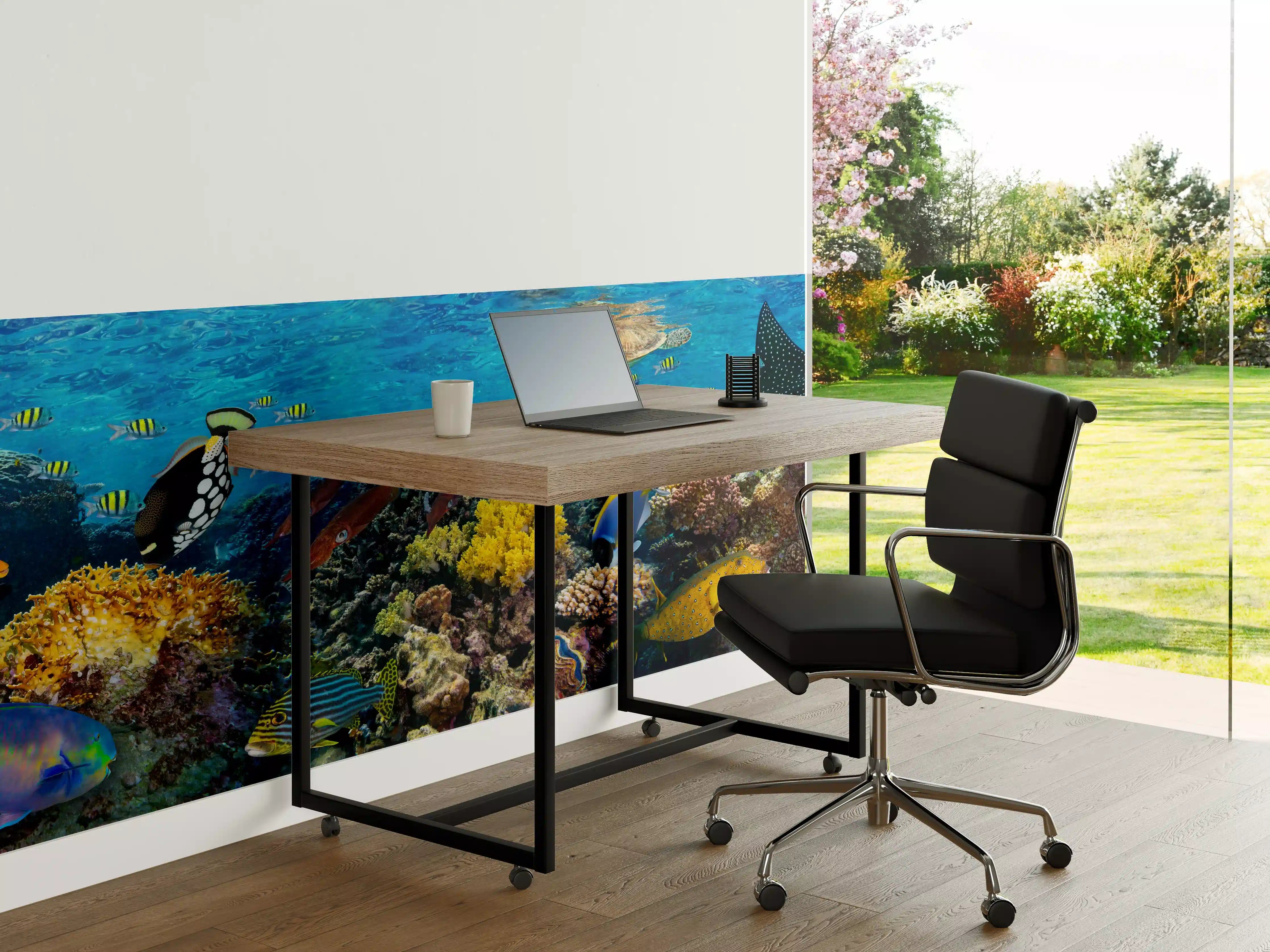 Büro Wandgestaltung - Buntes Korallenriff Panorama