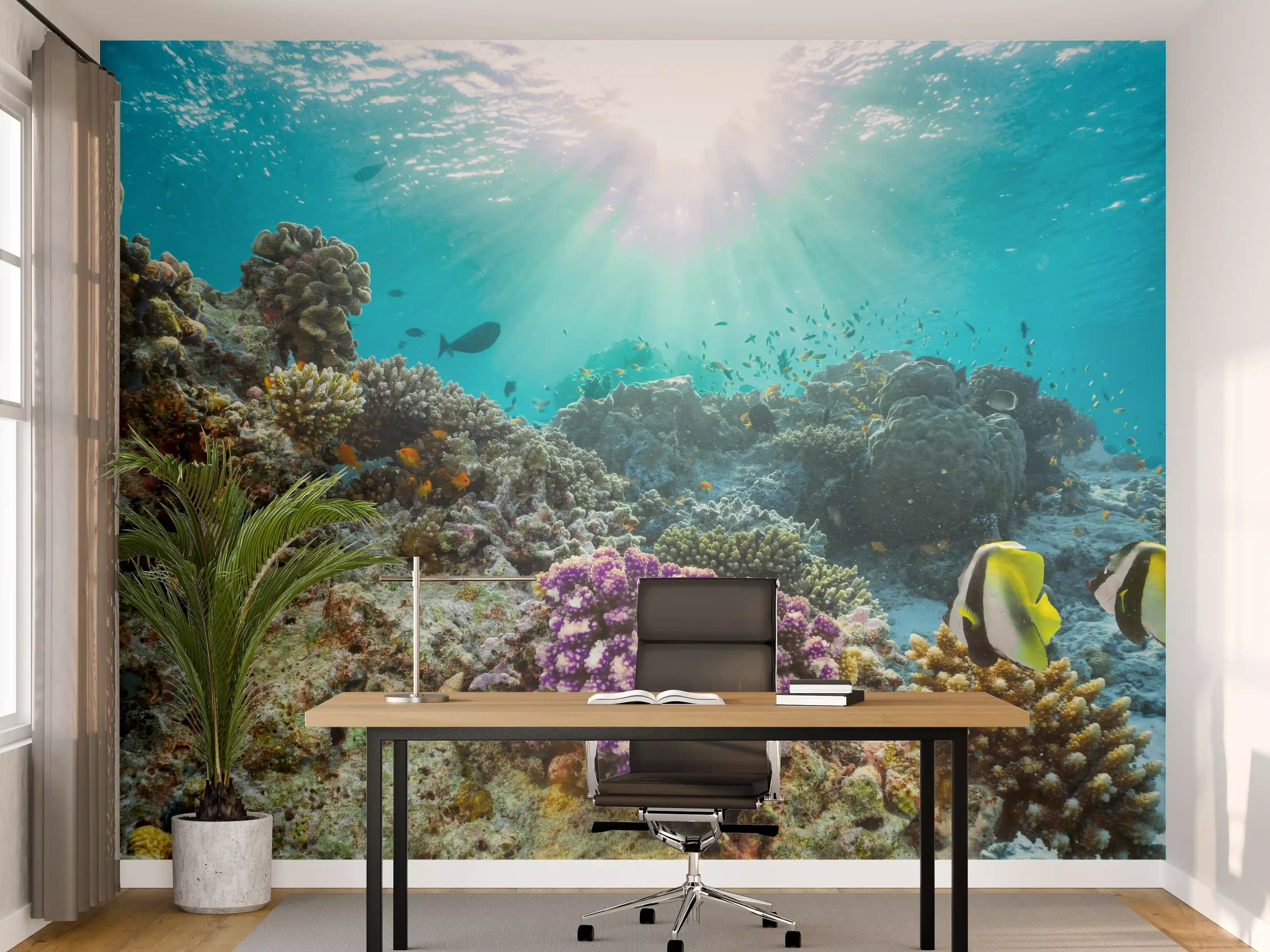 Büro Wandgestaltung - Buntes Korallenriff in den Malediven