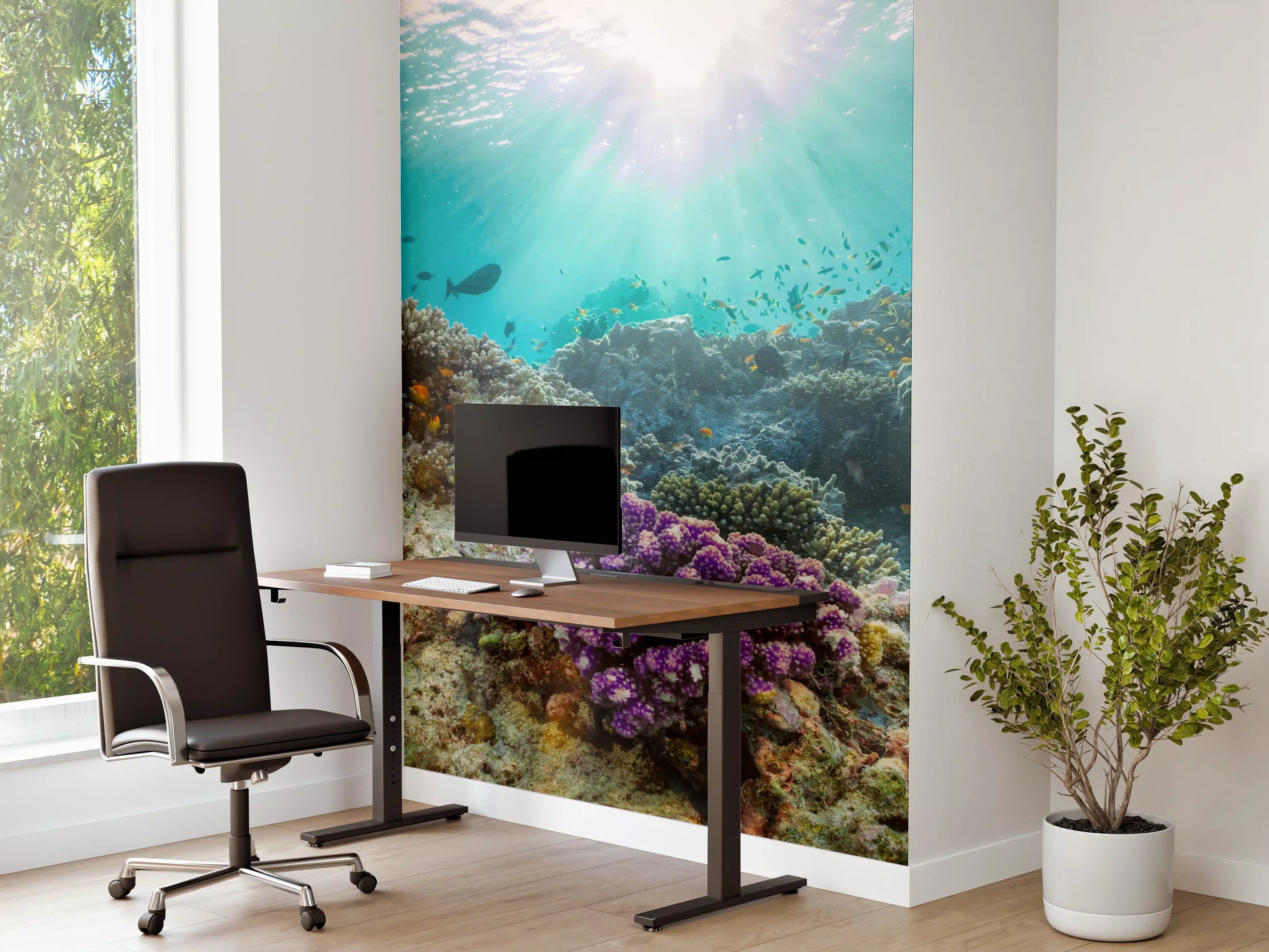 Büro Wandgestaltung - Buntes Korallenriff in den Malediven