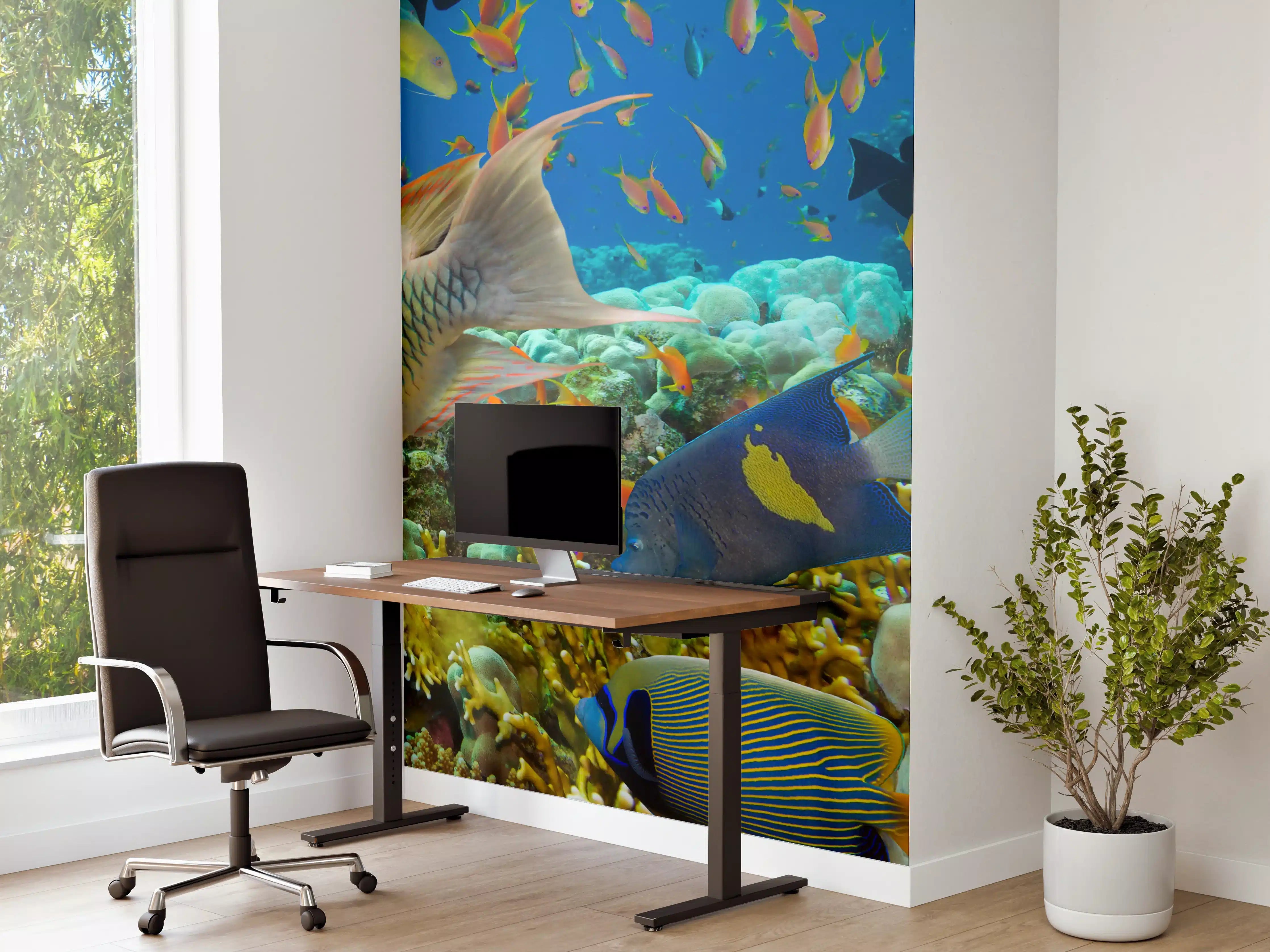 Büro Wandgestaltung - Buntes Korallenriff mit Fischen
