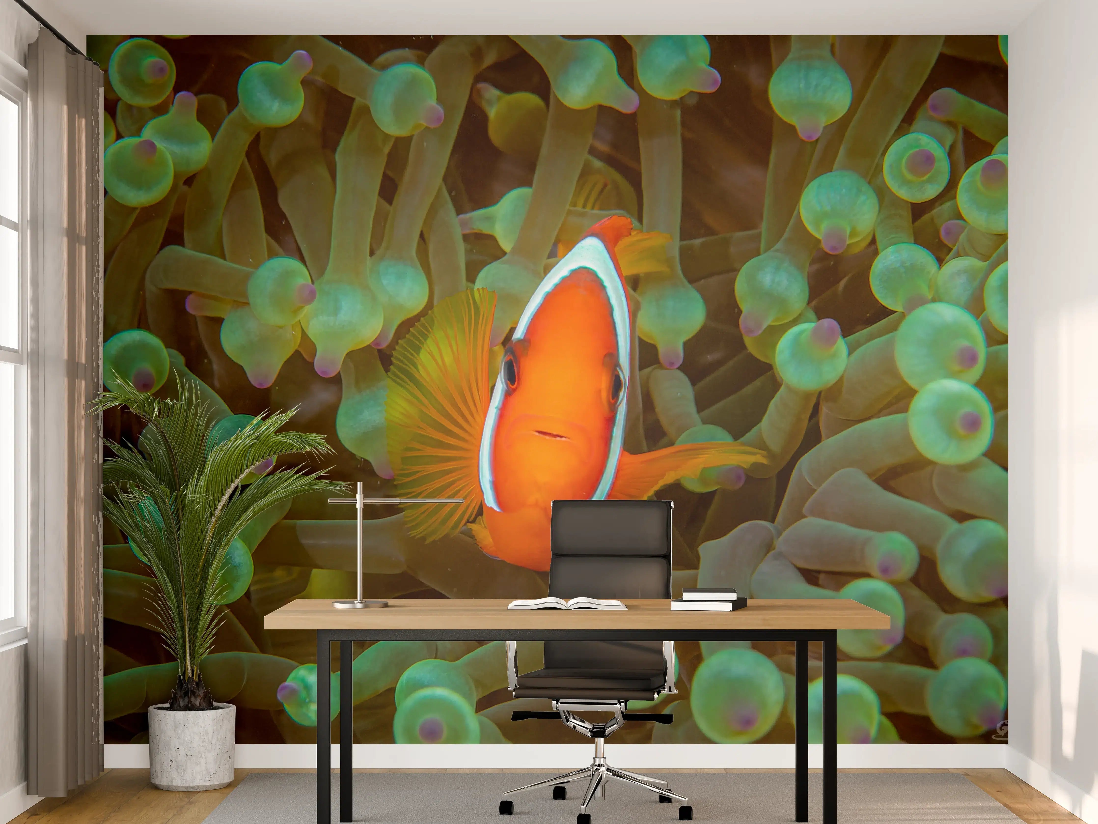 Büro Wandgestaltung - Clownfisch - Unterwasserwelt