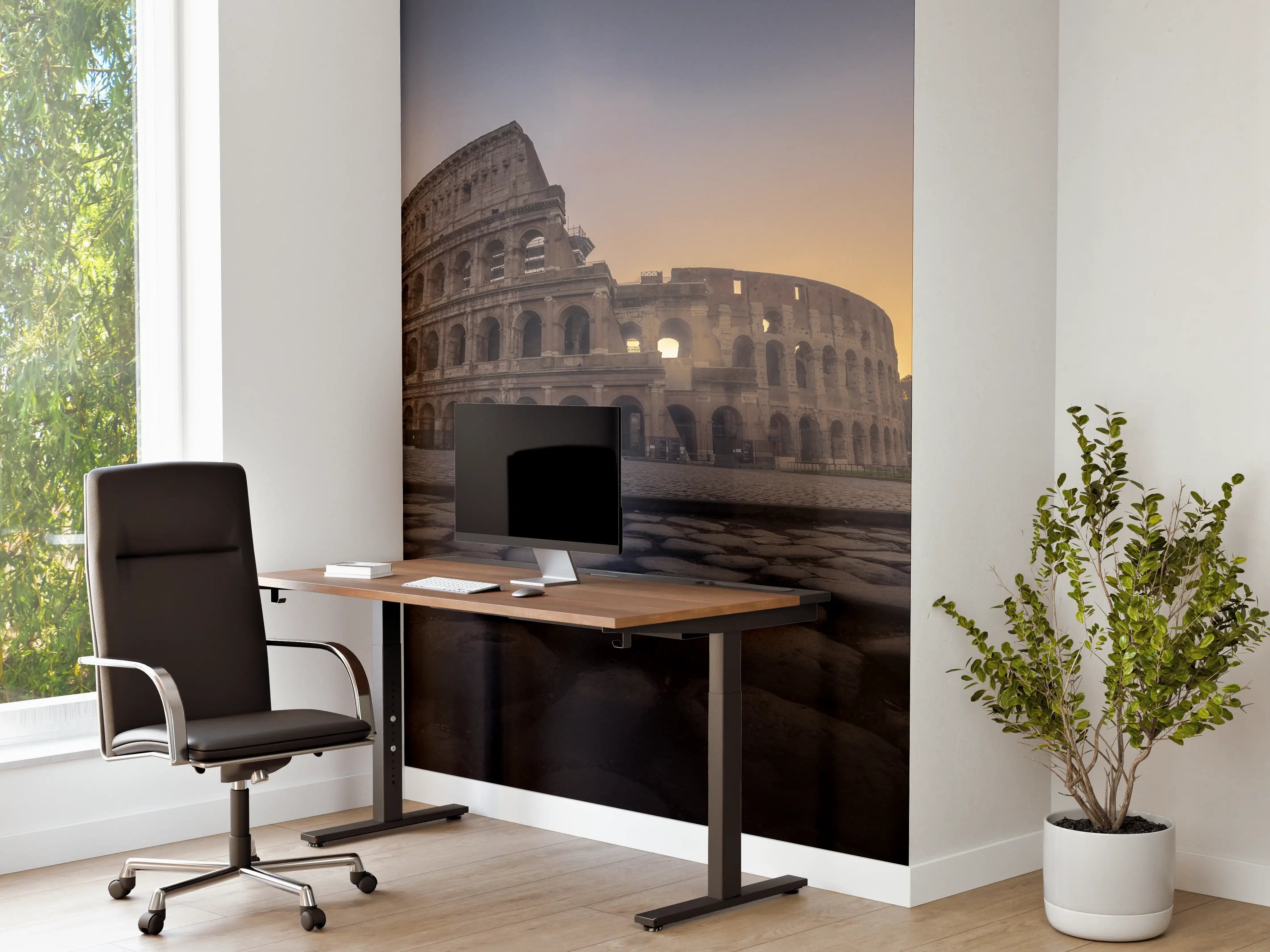 Büro Wandgestaltung - Colosseum, Rome, Italy