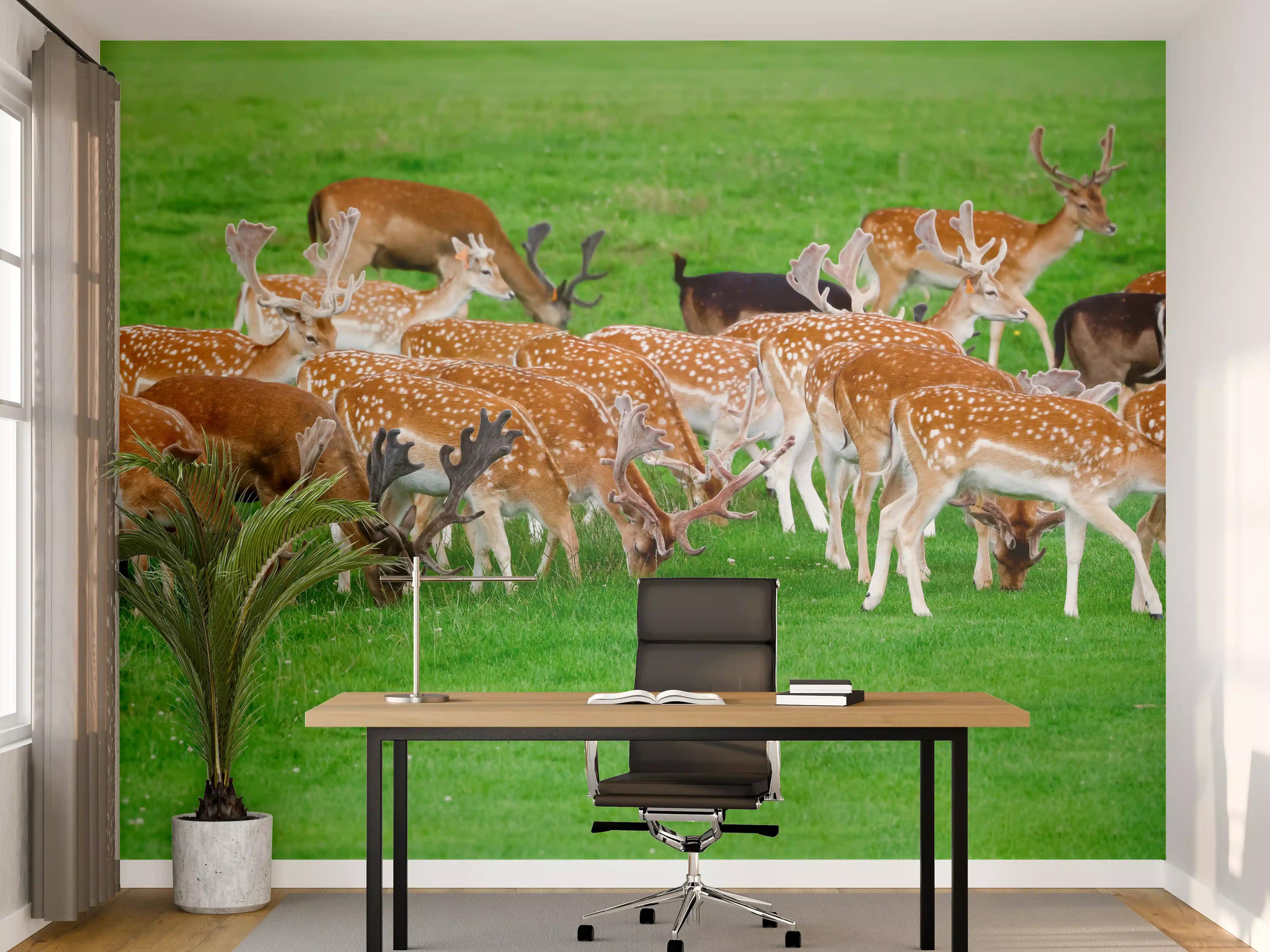 Büro Wandgestaltung - Damwild-Herde auf grüner Wiese