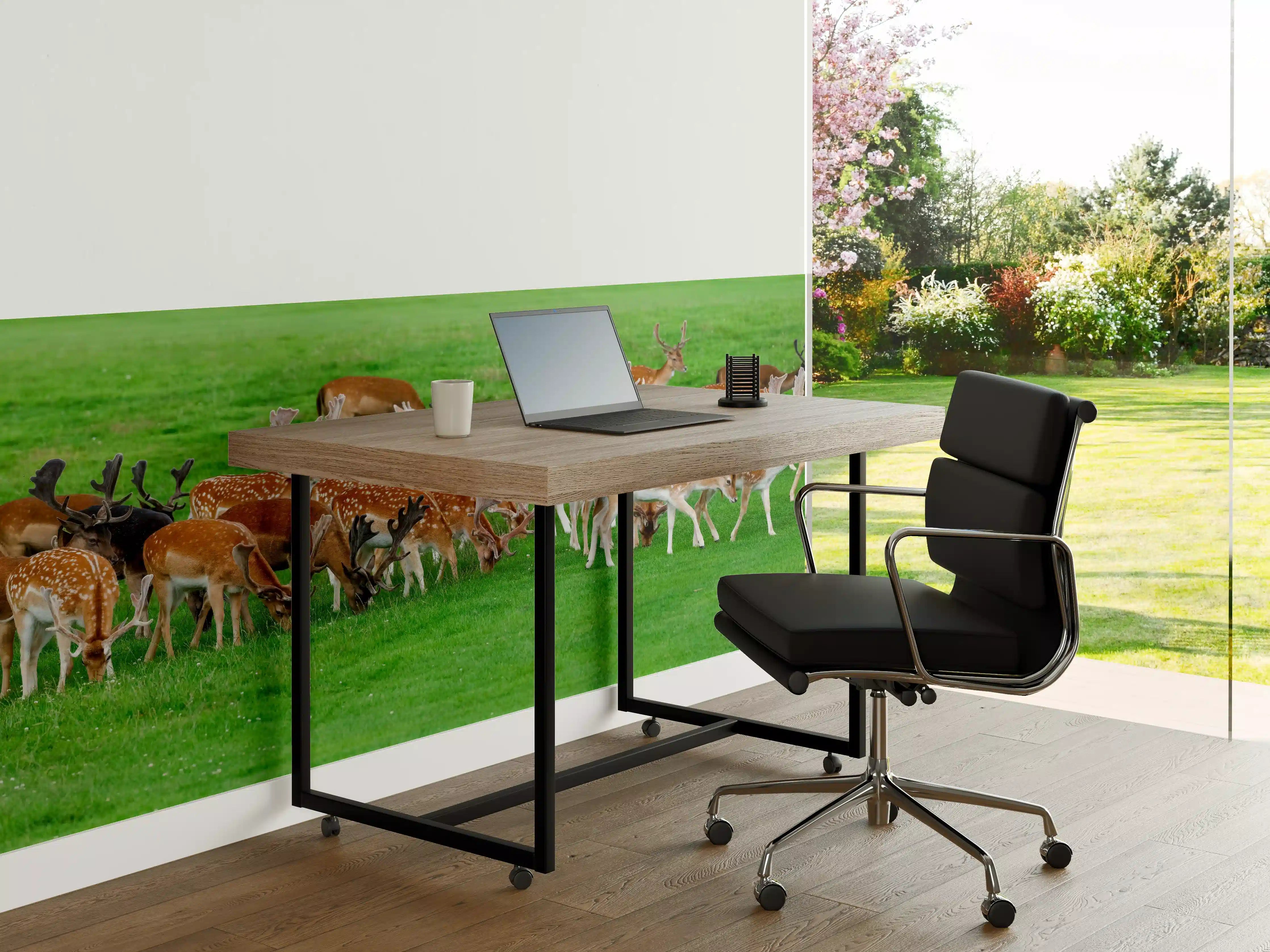 Büro Wandgestaltung - Damwild-Herde auf grüner Wiese