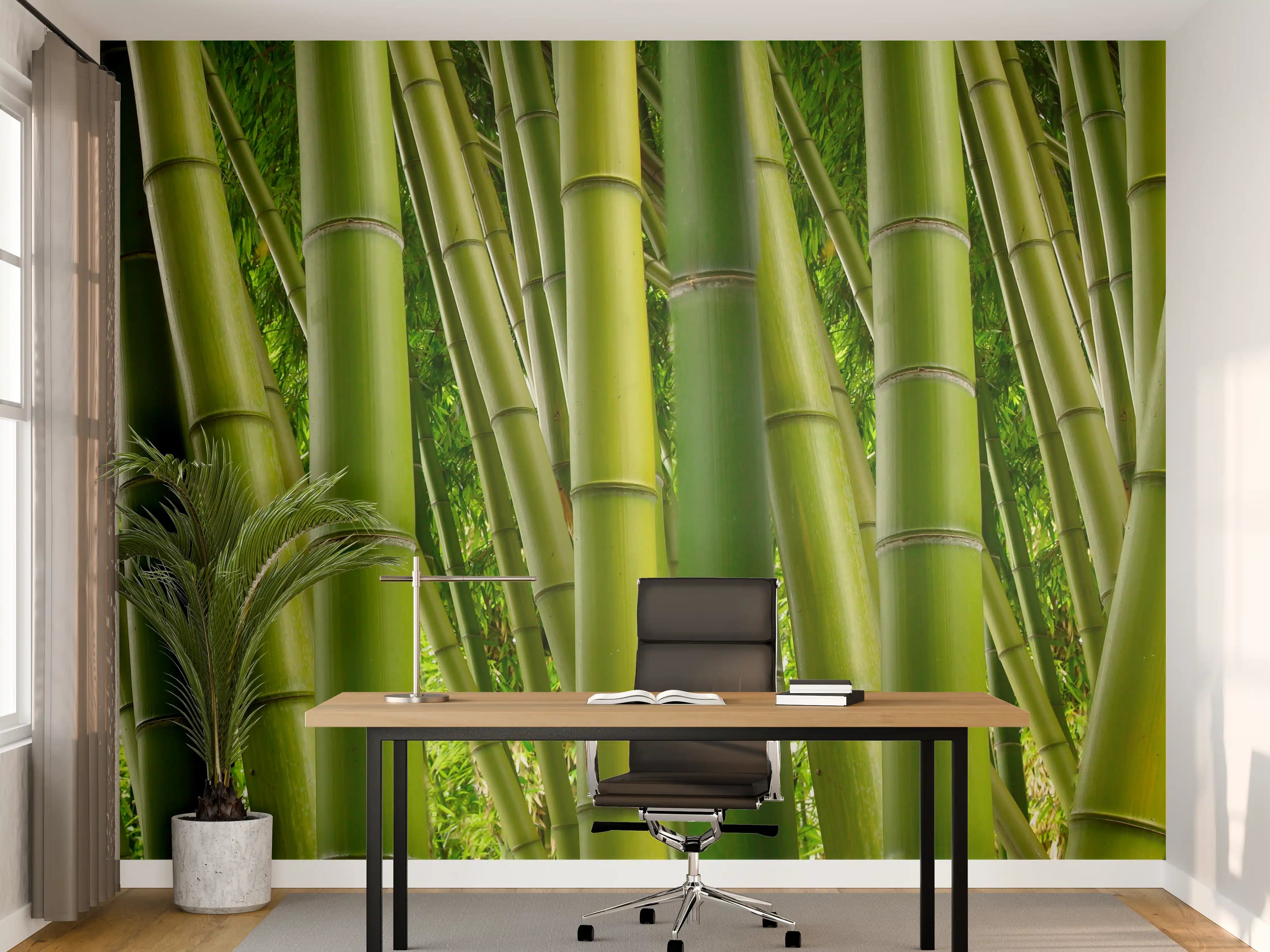 Büro Wandgestaltung - Dichter Bambus-Dschungel