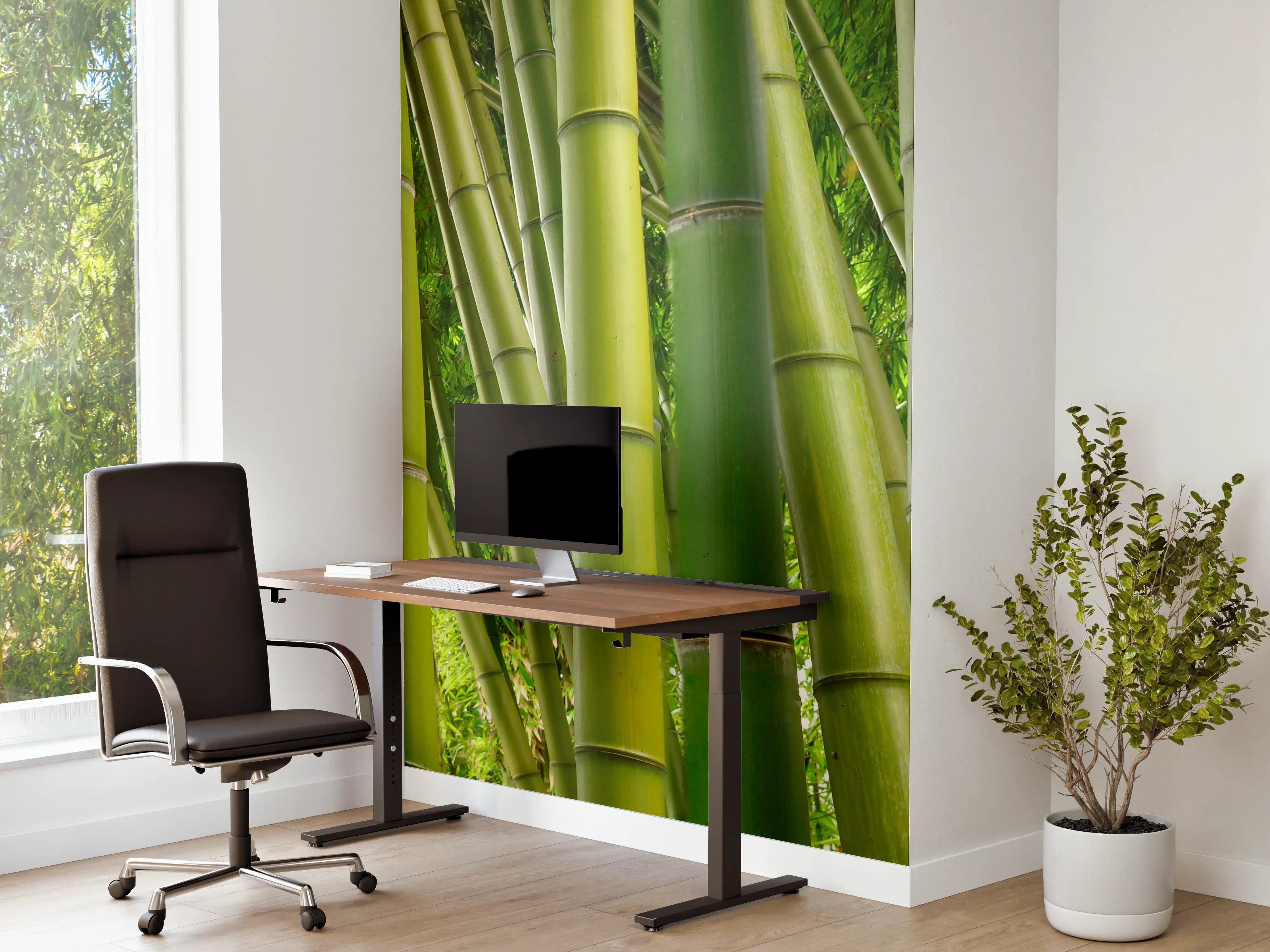 Büro Wandgestaltung - Dichter Bambus-Dschungel