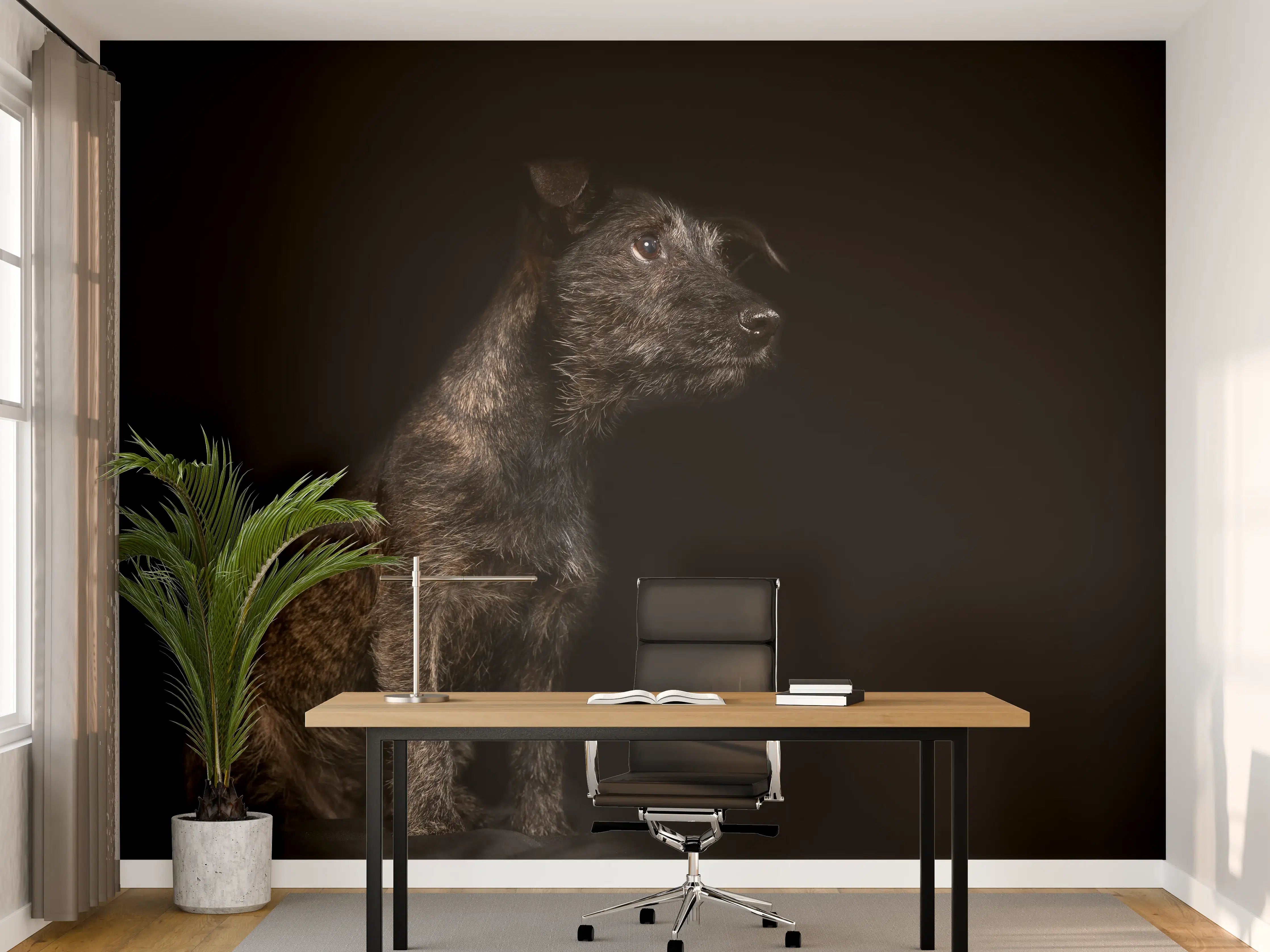 Büro Wandgestaltung - Dunkler Cairn Terrier Hund