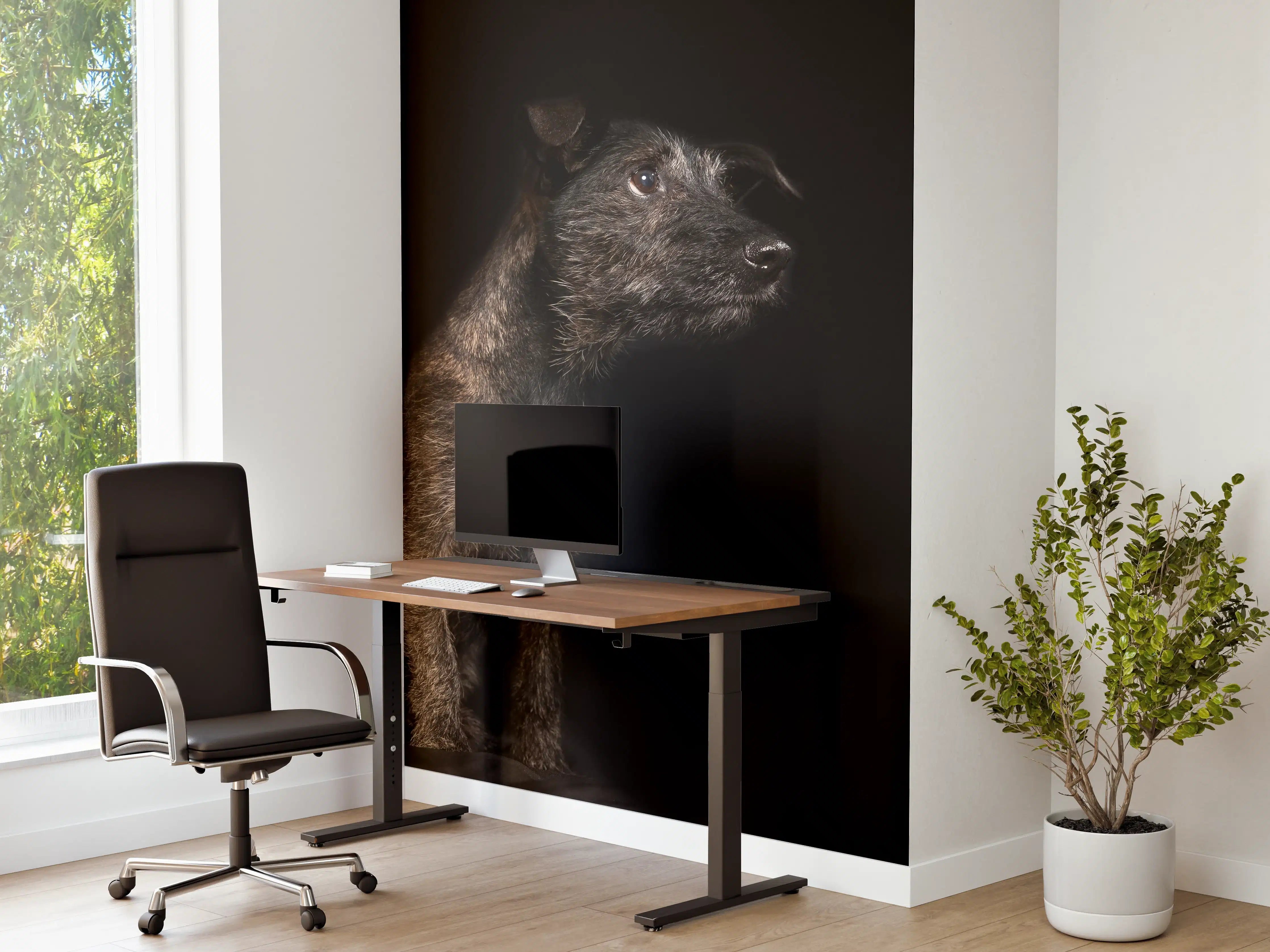 Büro Wandgestaltung - Dunkler Cairn Terrier Hund