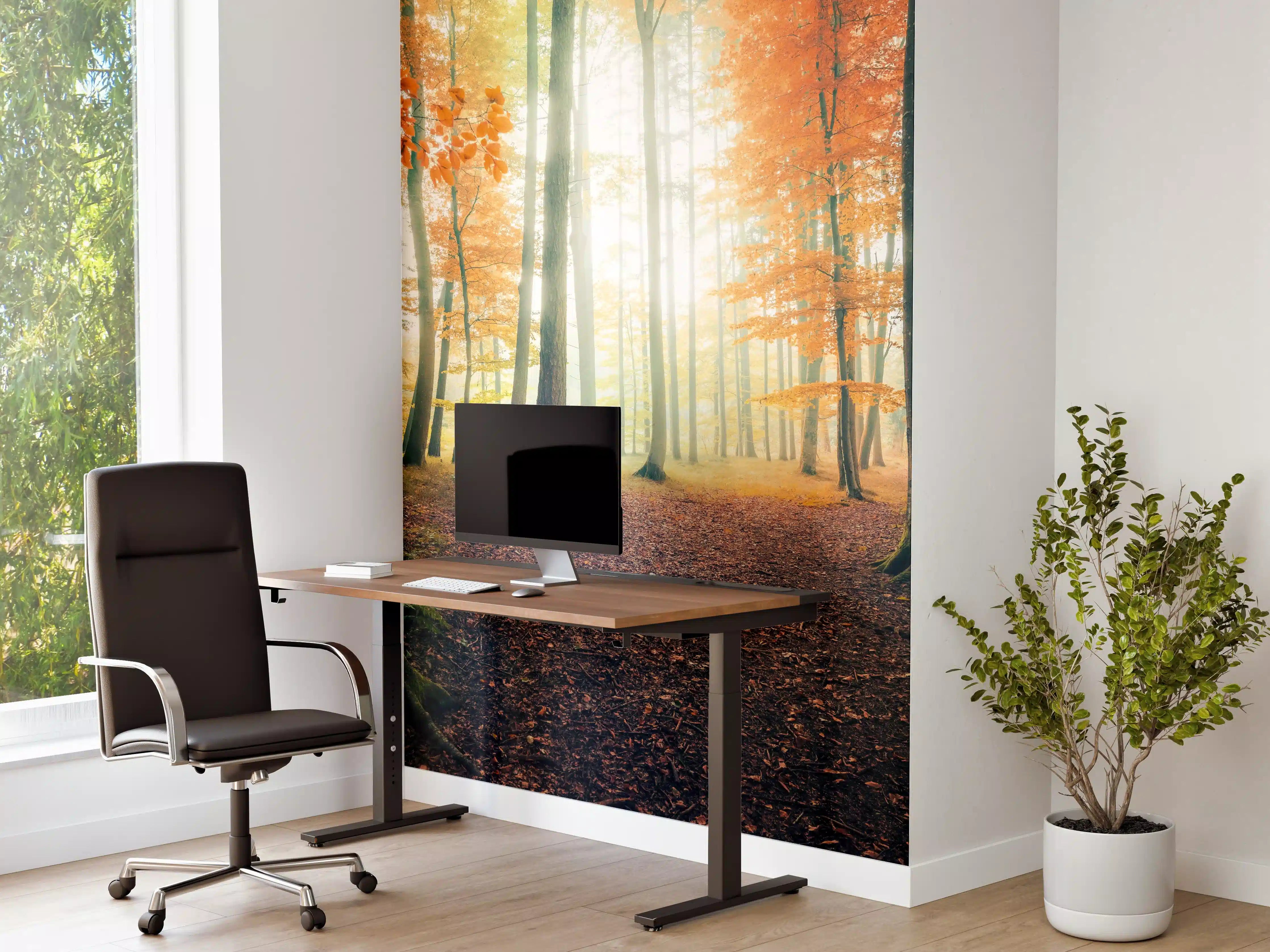 Büro Wandgestaltung - Dunkler Wald im Herbst