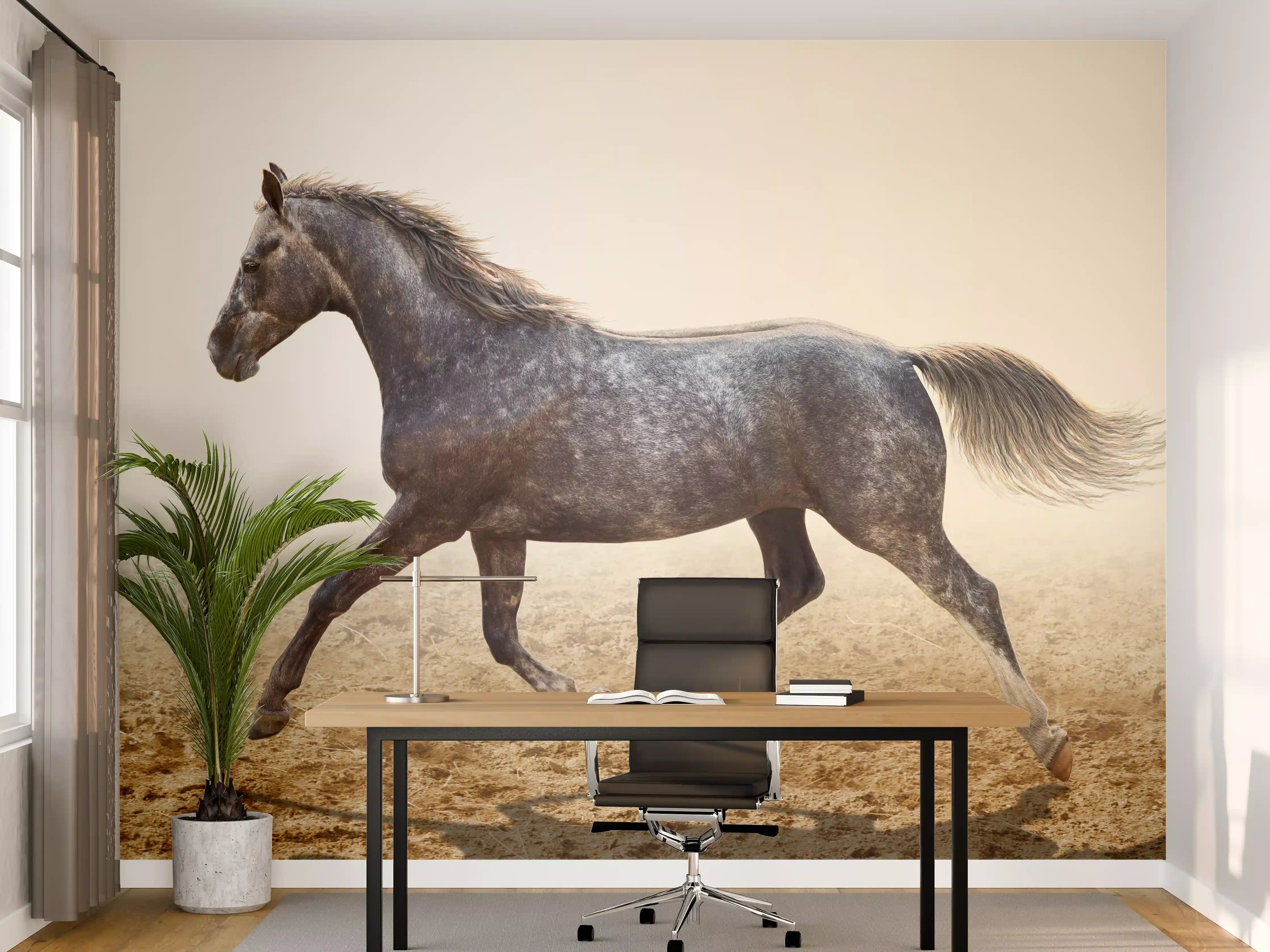 Büro Wandgestaltung - Ein graues Pferd reitend auf einem Feld
