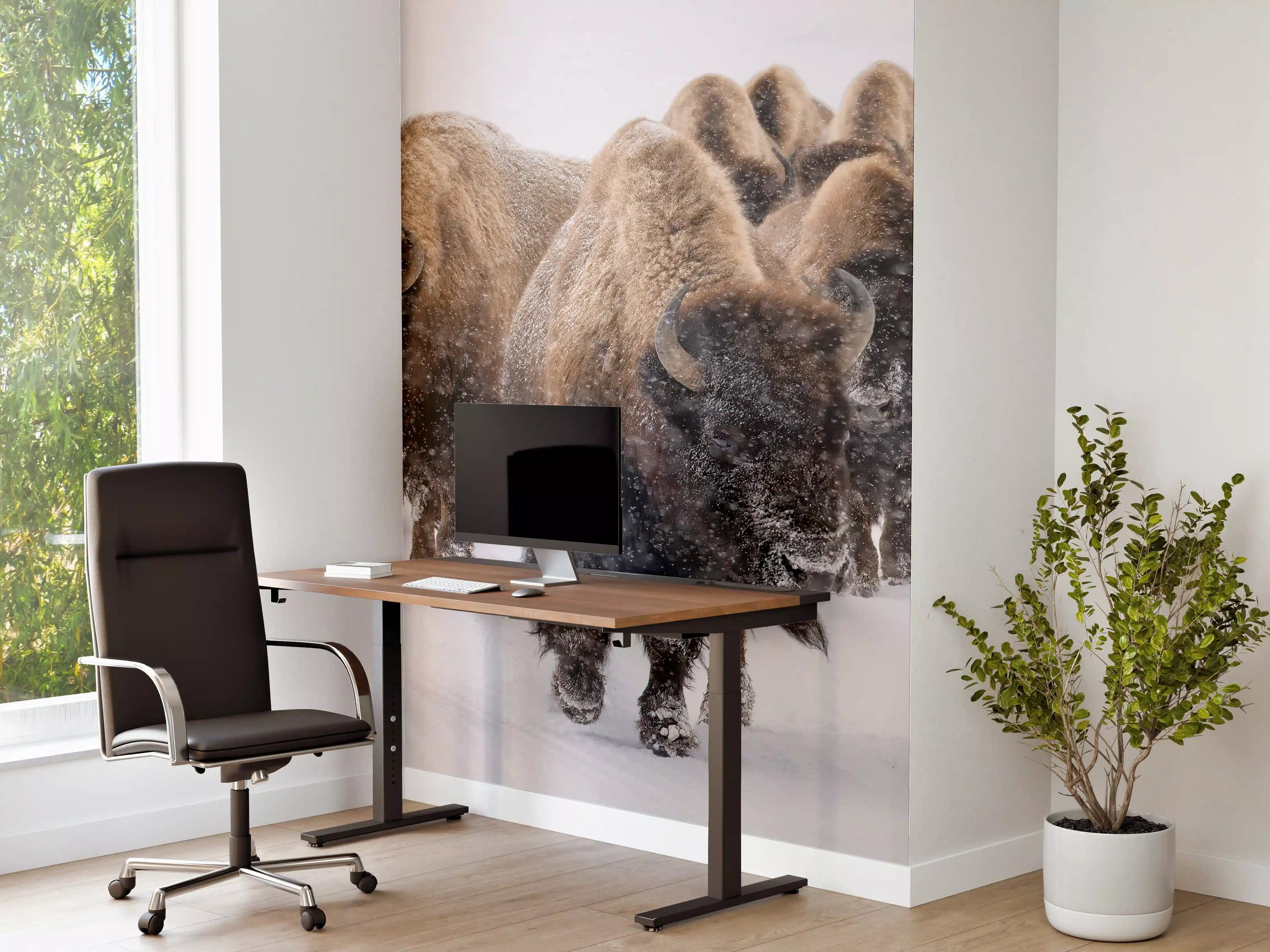 Büro Wandgestaltung - Eine Bison Herde