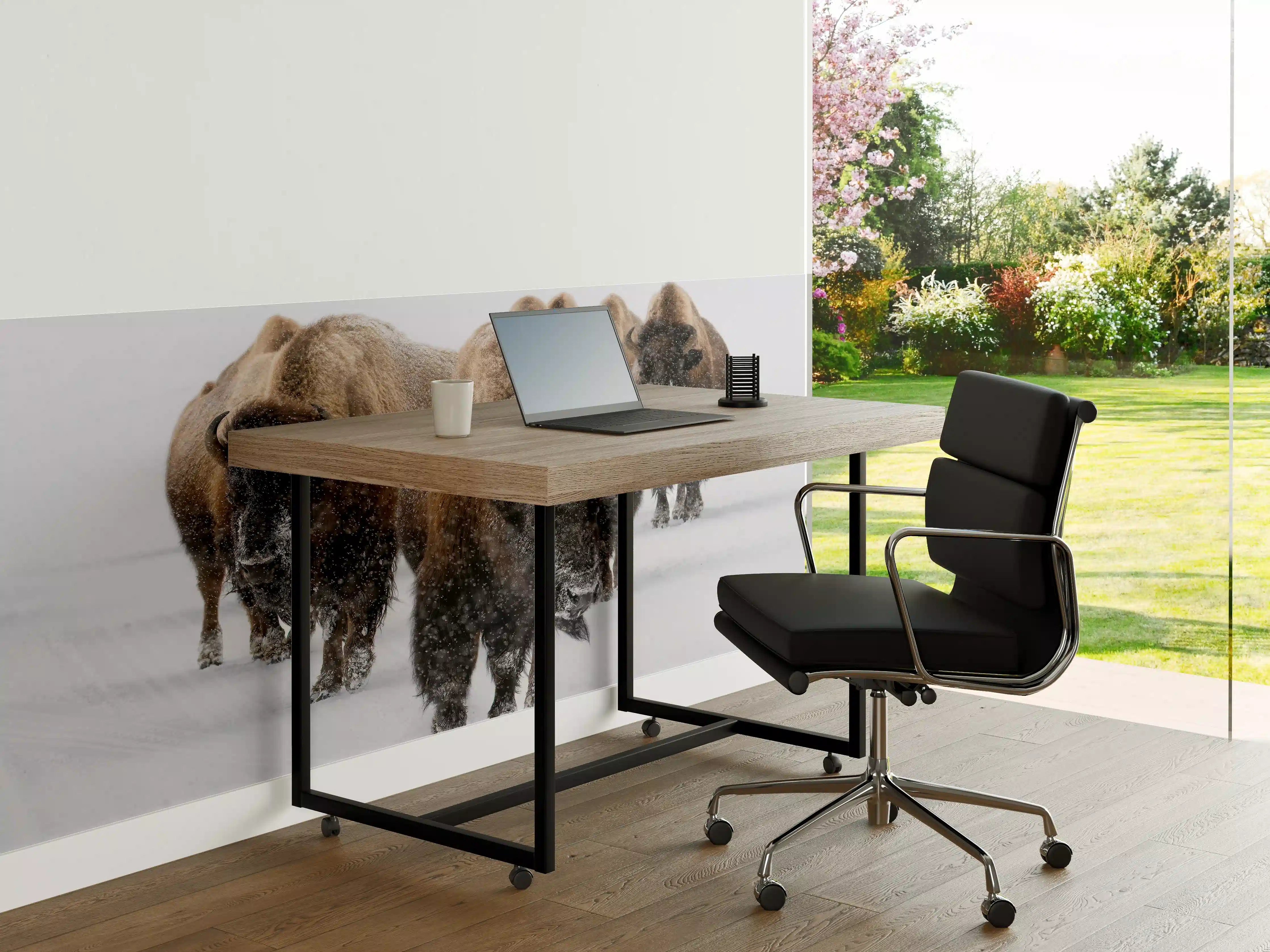 Büro Wandgestaltung - Eine Bison Herde