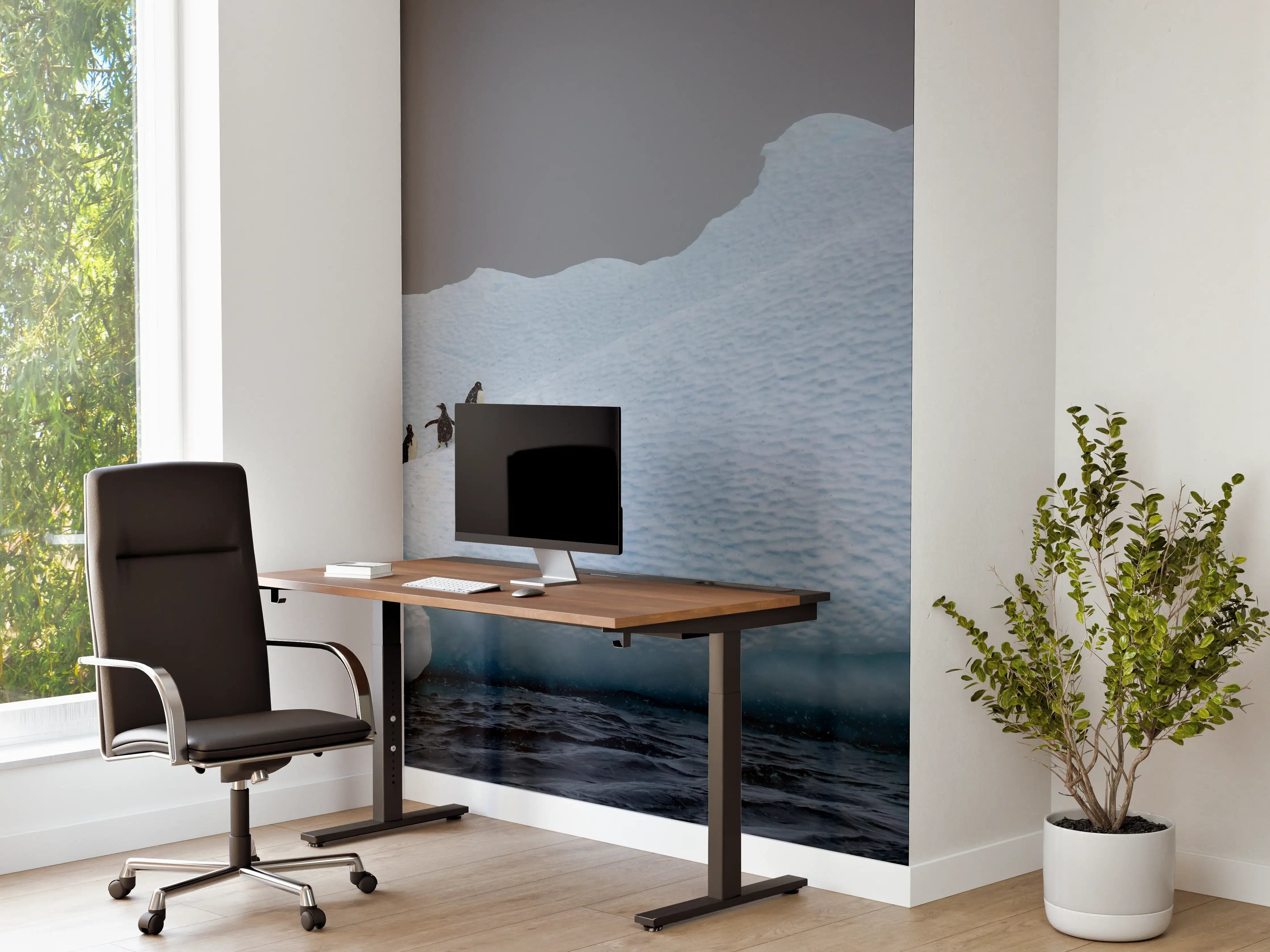Büro Wandgestaltung - Eisige Region - Südpol