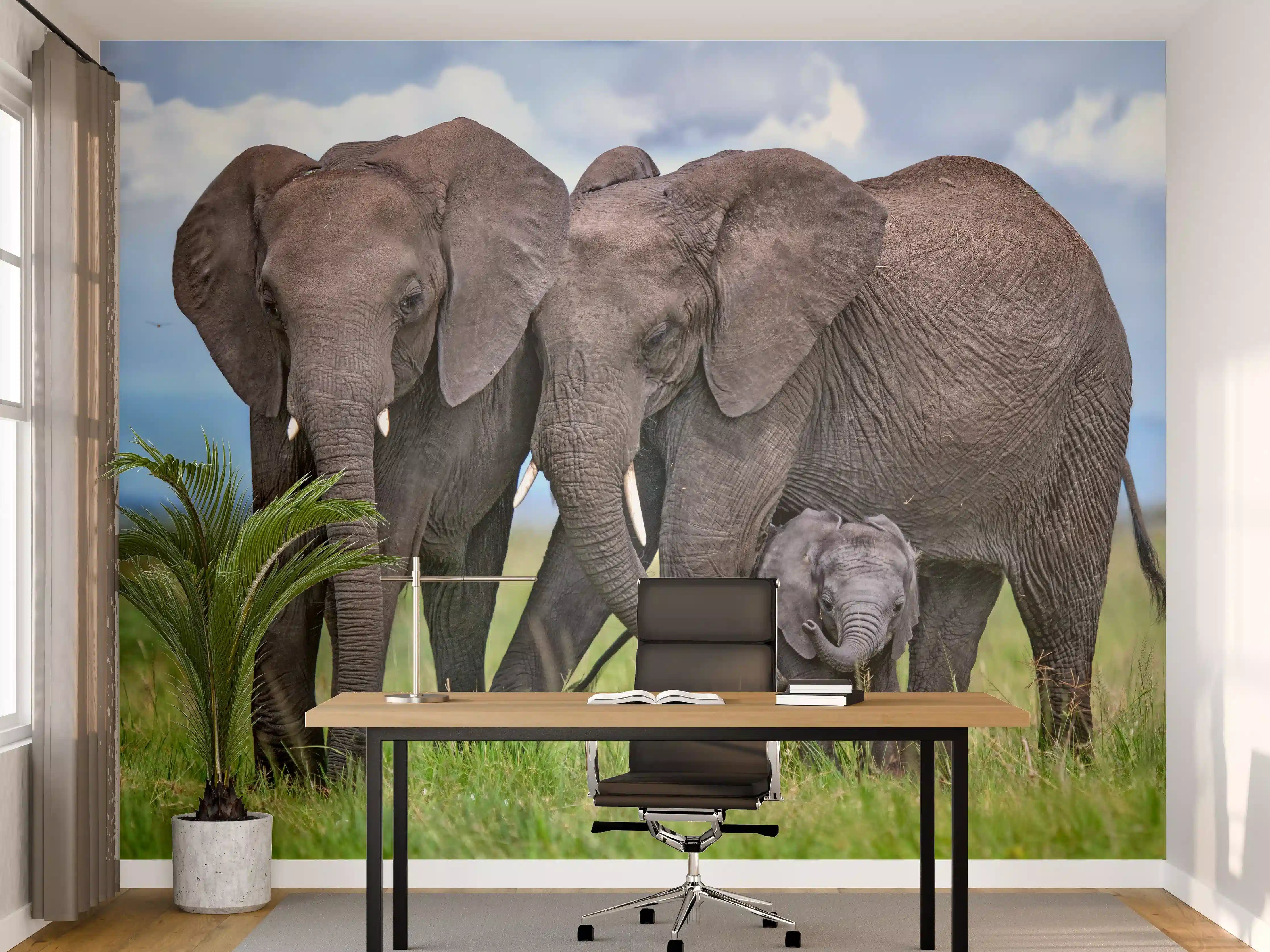 Büro Wandgestaltung - Elefanten Familie - Afrika