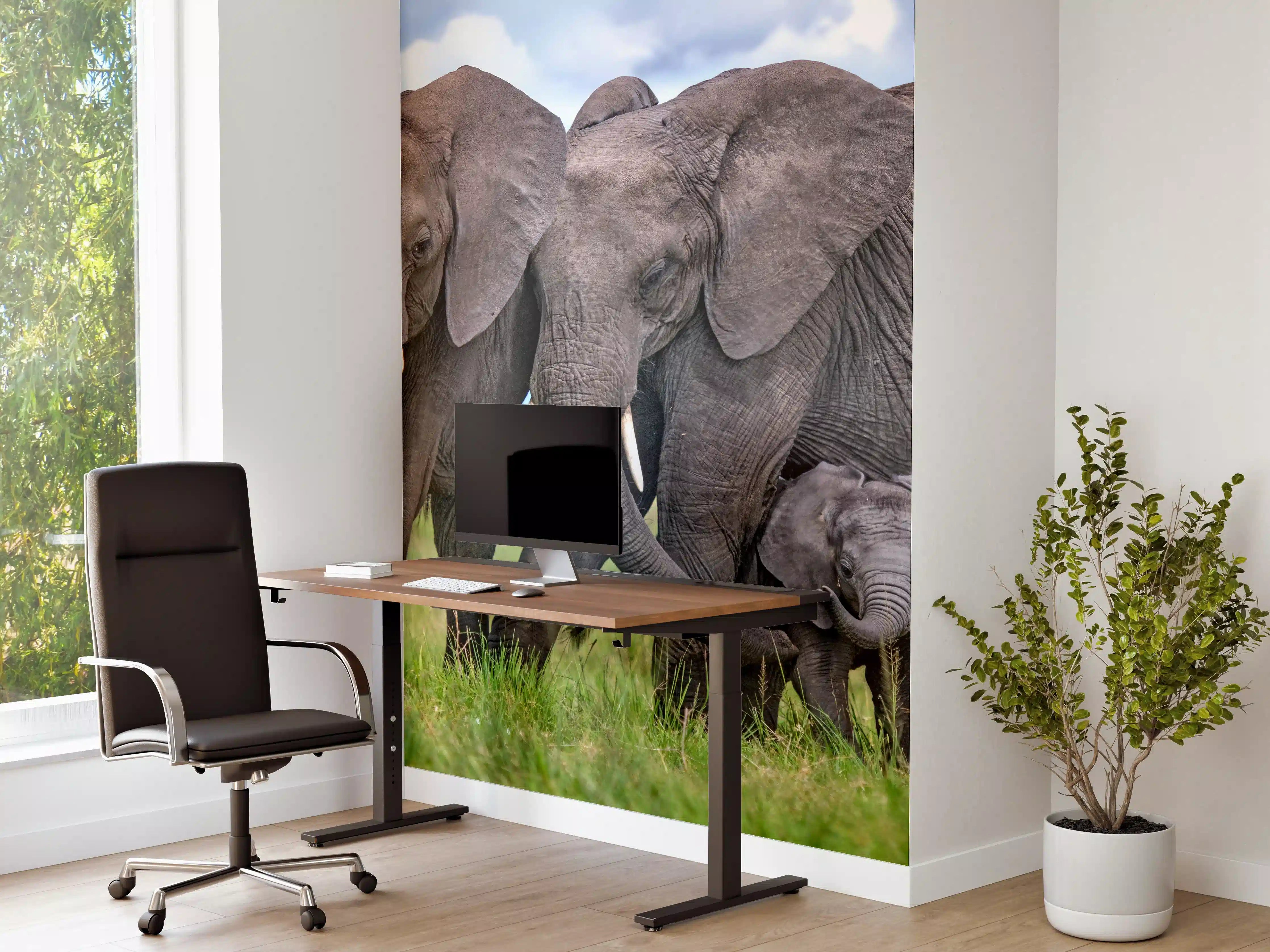 Büro Wandgestaltung - Elefanten Familie - Afrika