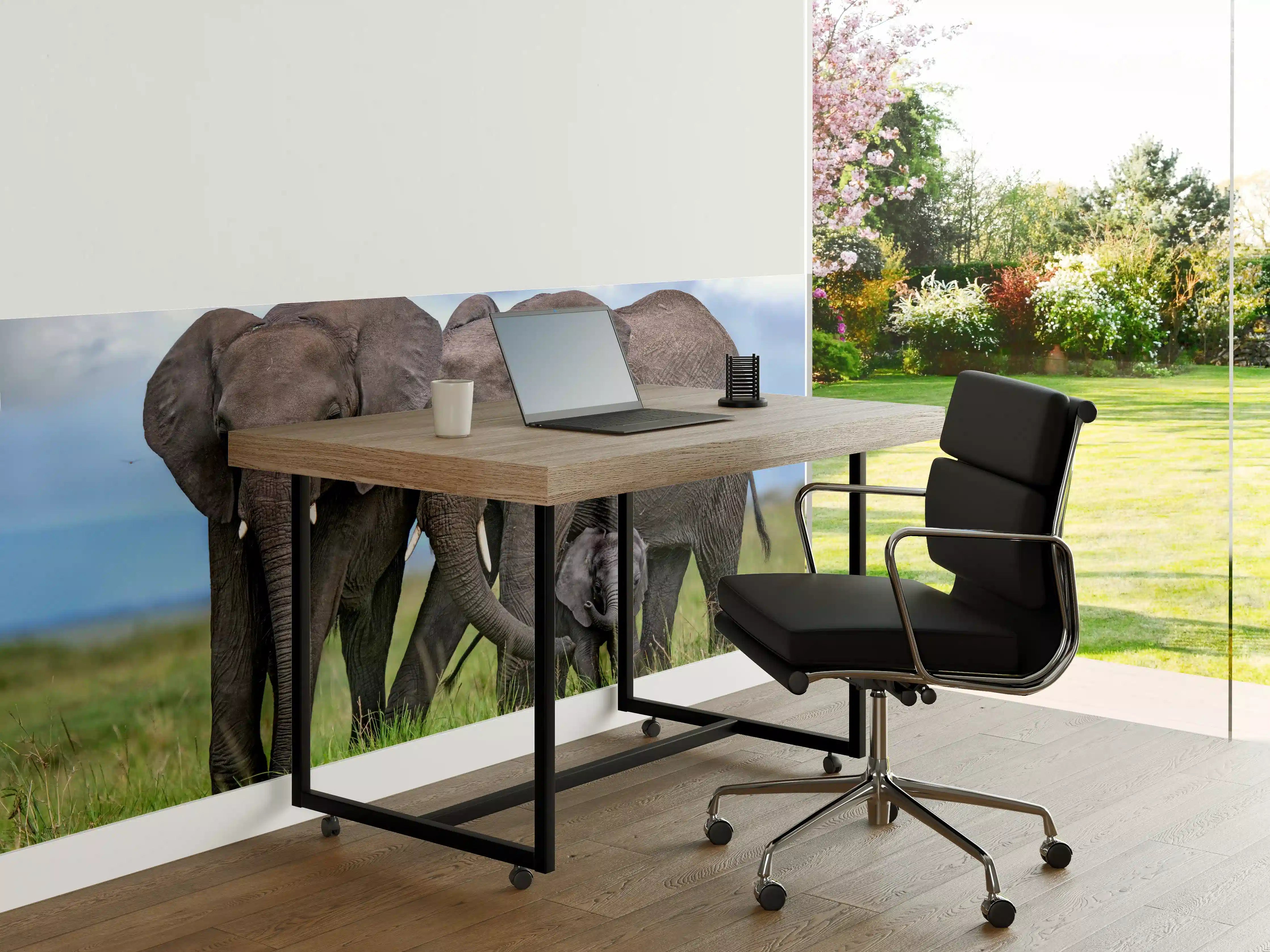 Büro Wandgestaltung - Elefanten Familie - Afrika