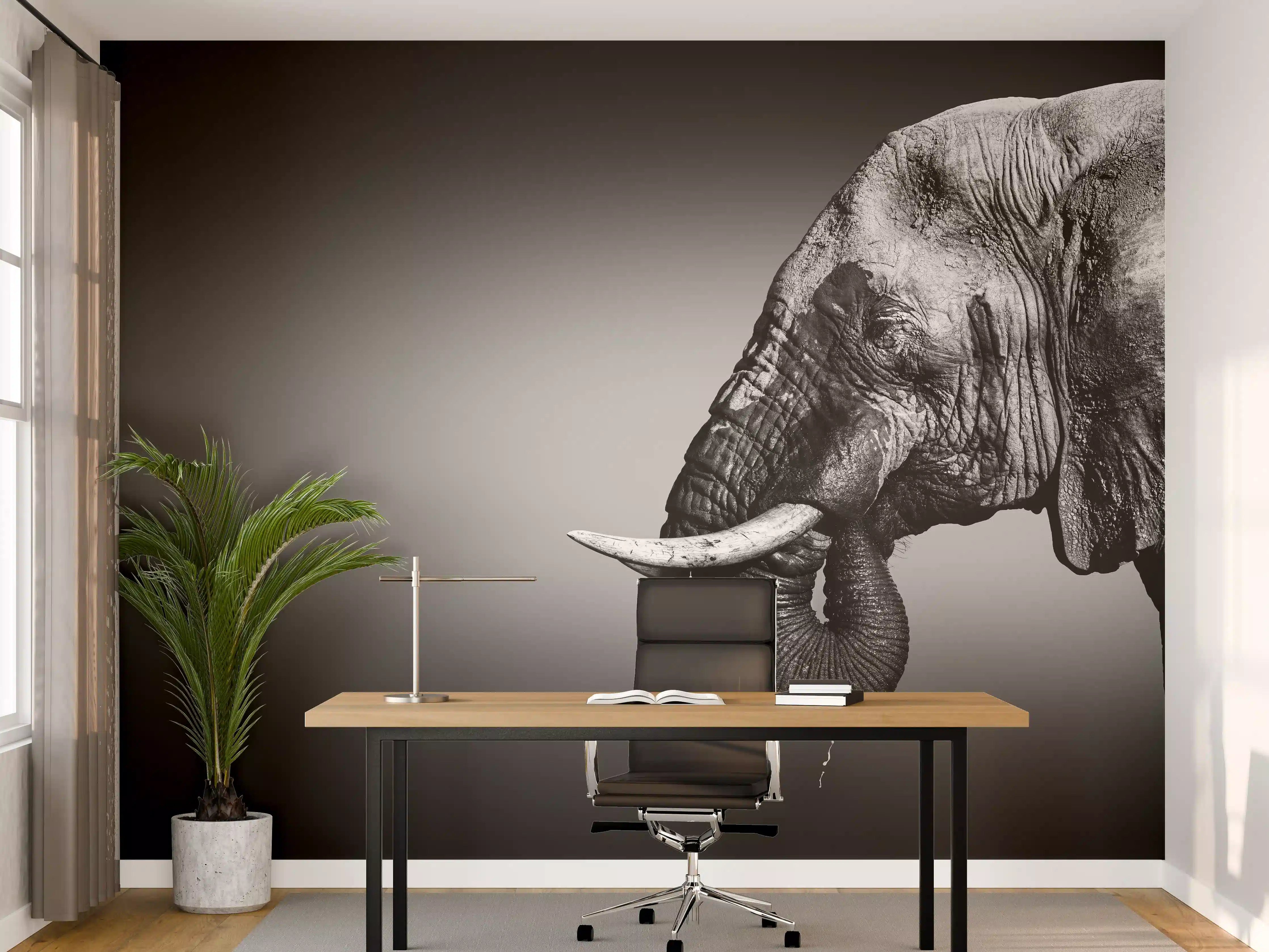 Büro Wandgestaltung - Elefanten Portrait
