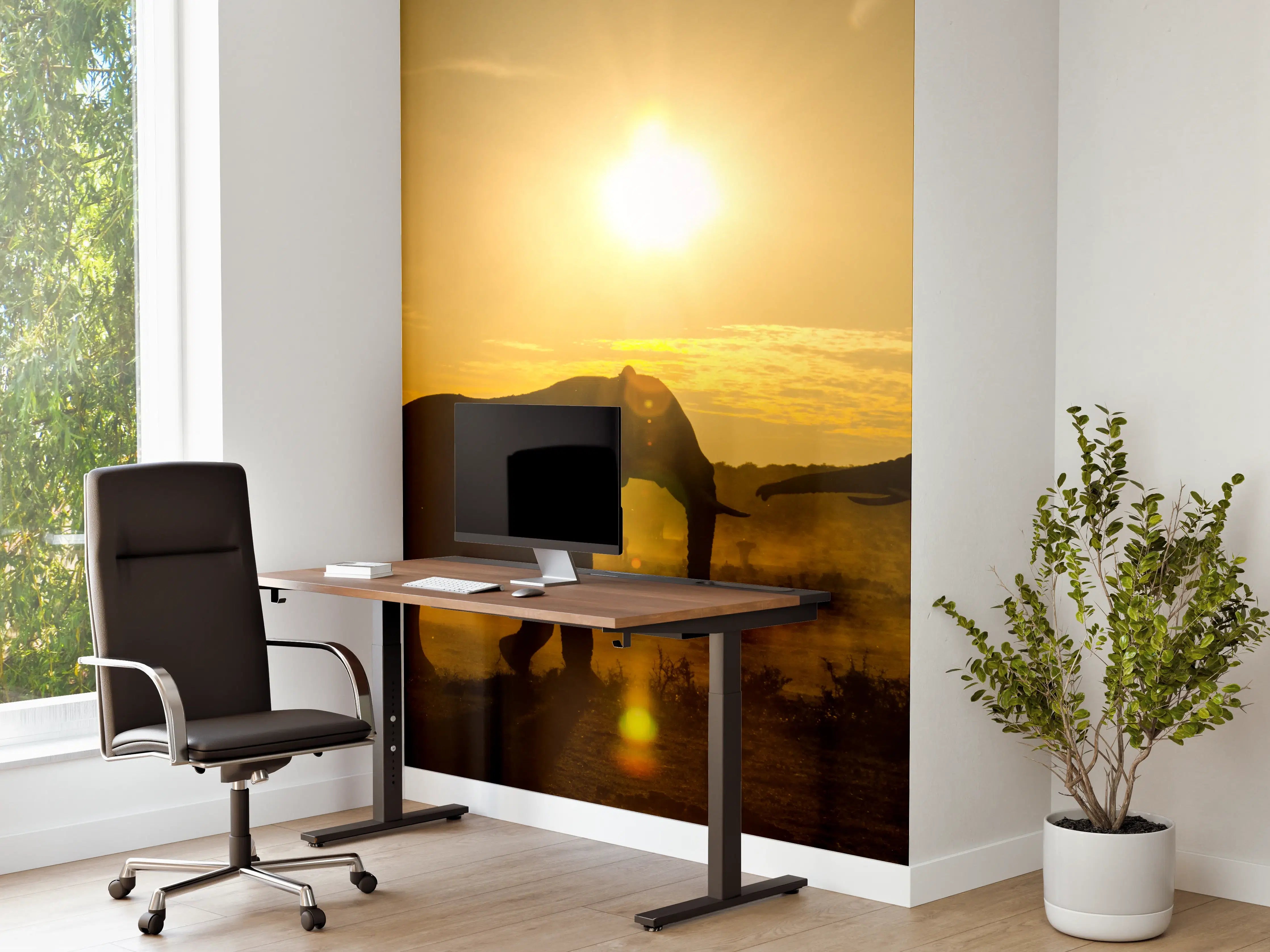 Büro Wandgestaltung - Elefanten bei Sonnenuntergang