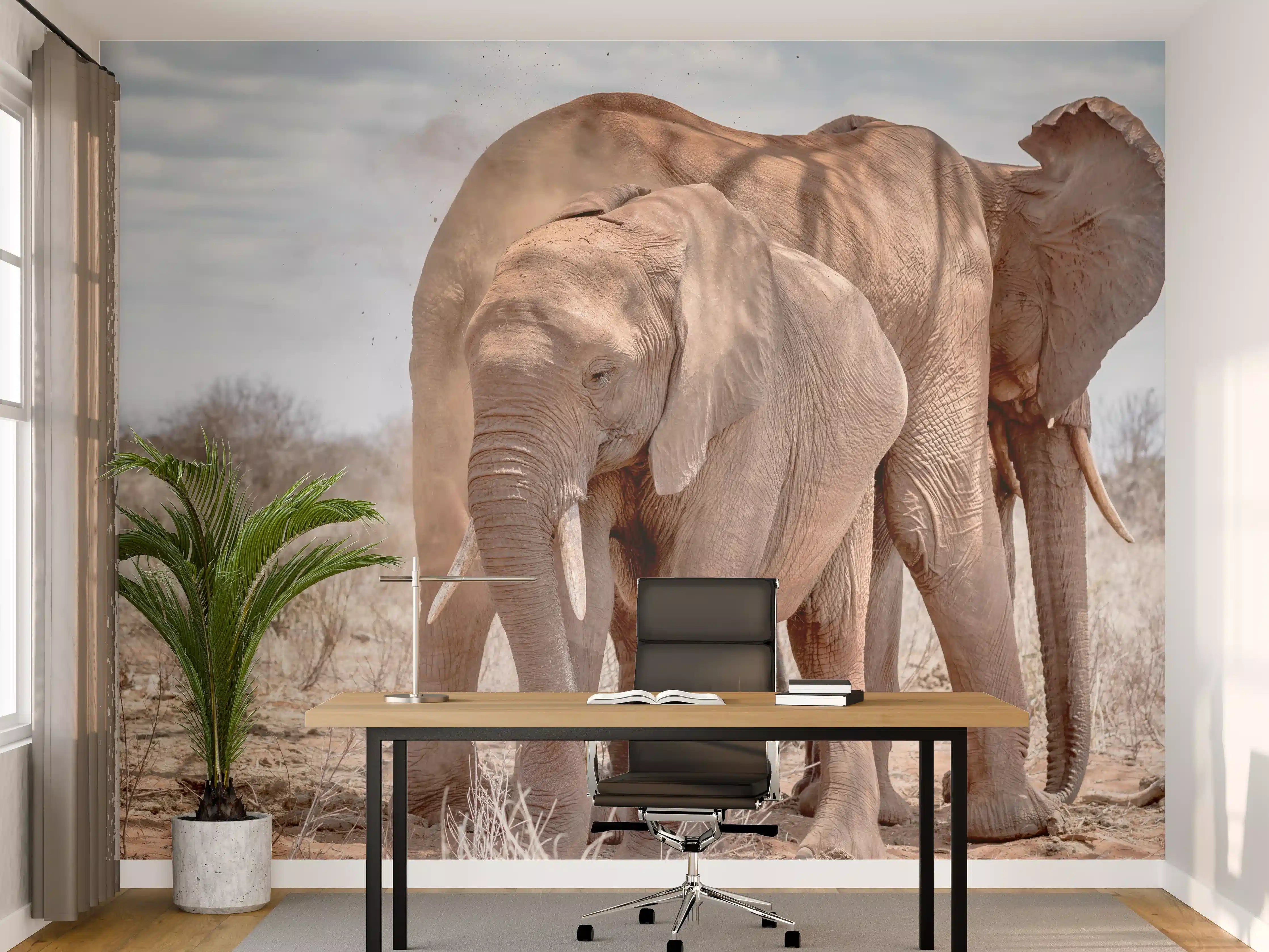 Büro Wandgestaltung - Elefanten im offenen Grasland bei Sonnenlicht