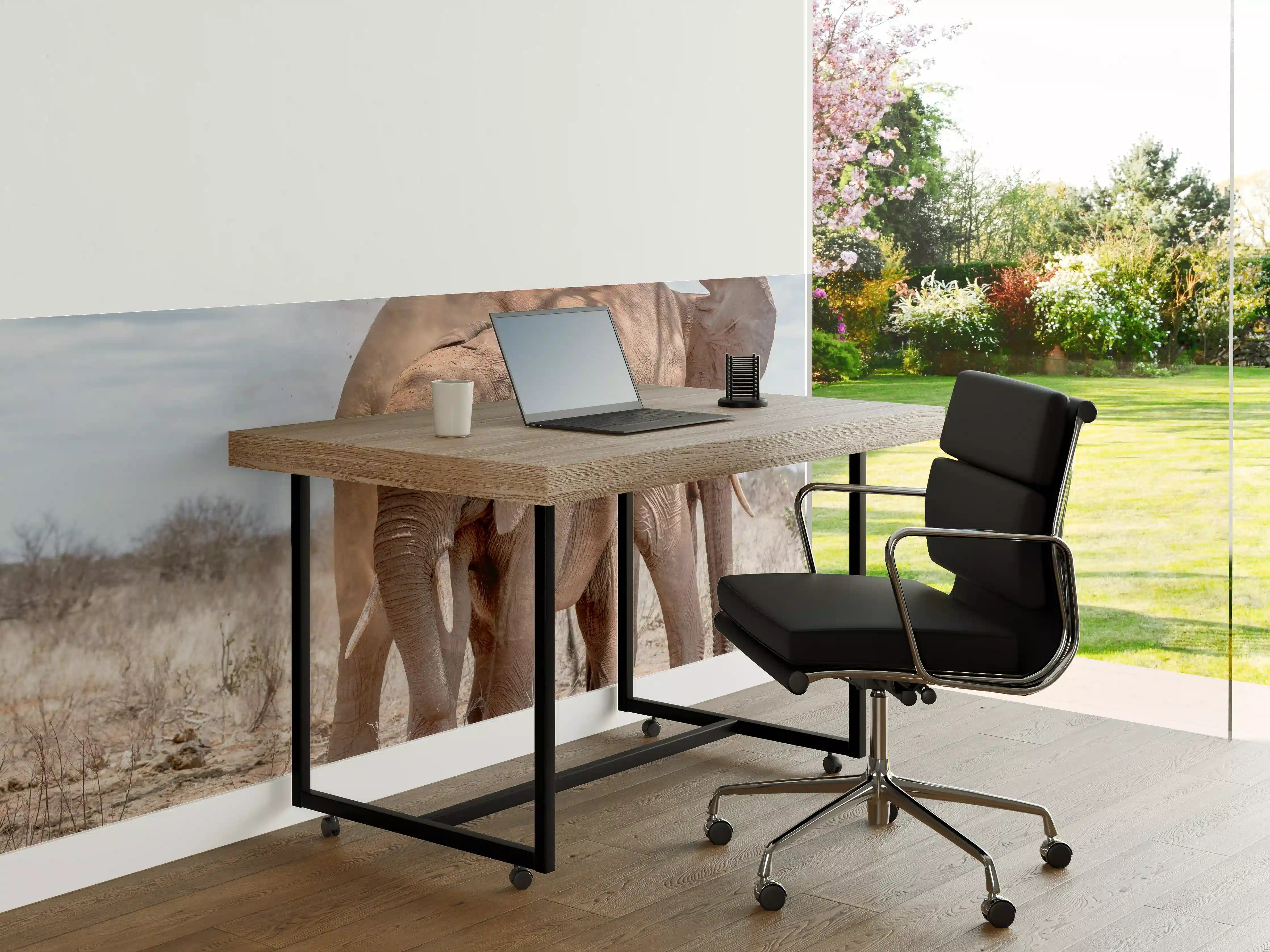 Büro Wandgestaltung - Elefanten im offenen Grasland bei Sonnenlicht