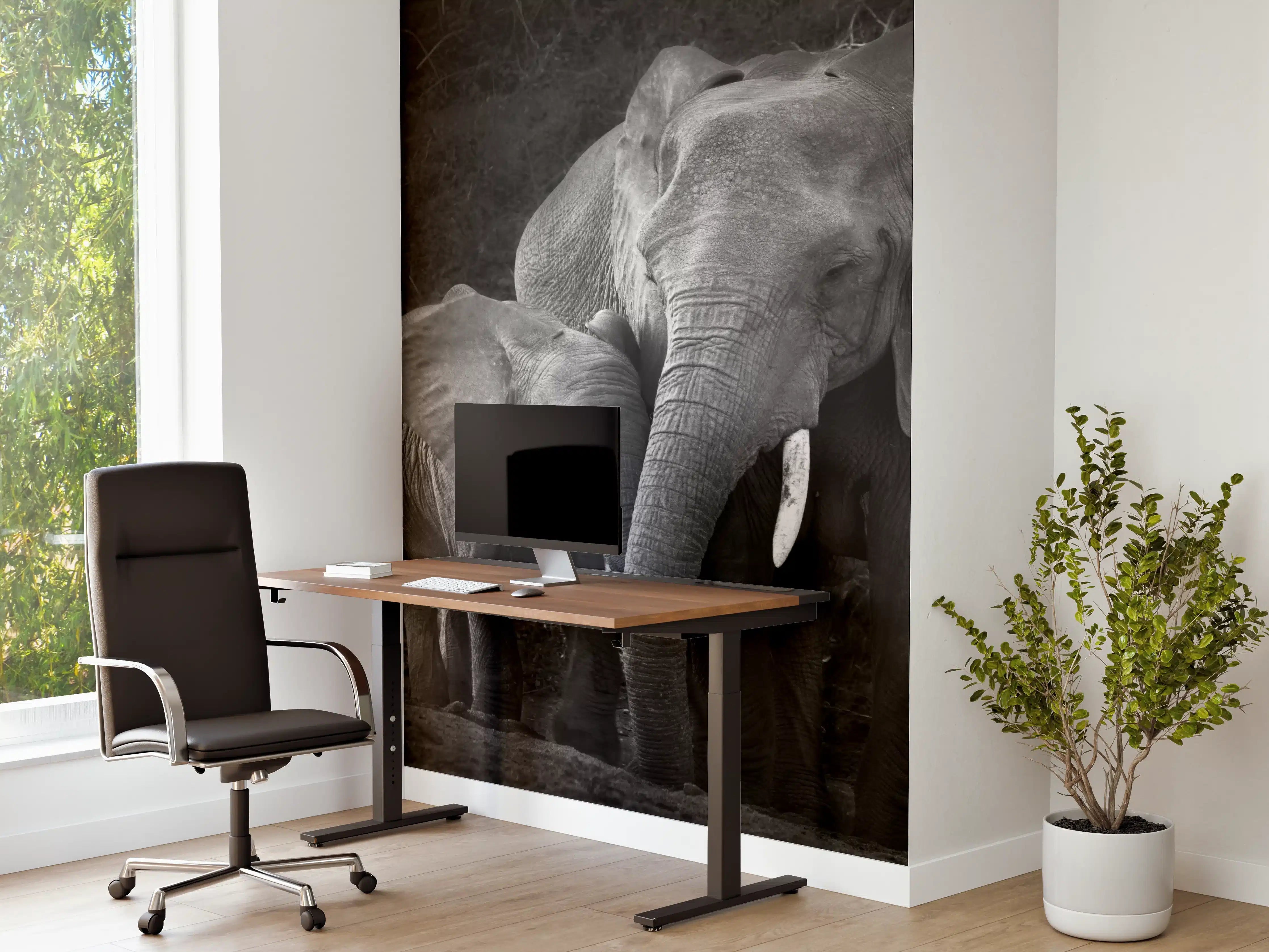 Büro Wandgestaltung - Elefanten in der Natur - schwarz-weiß