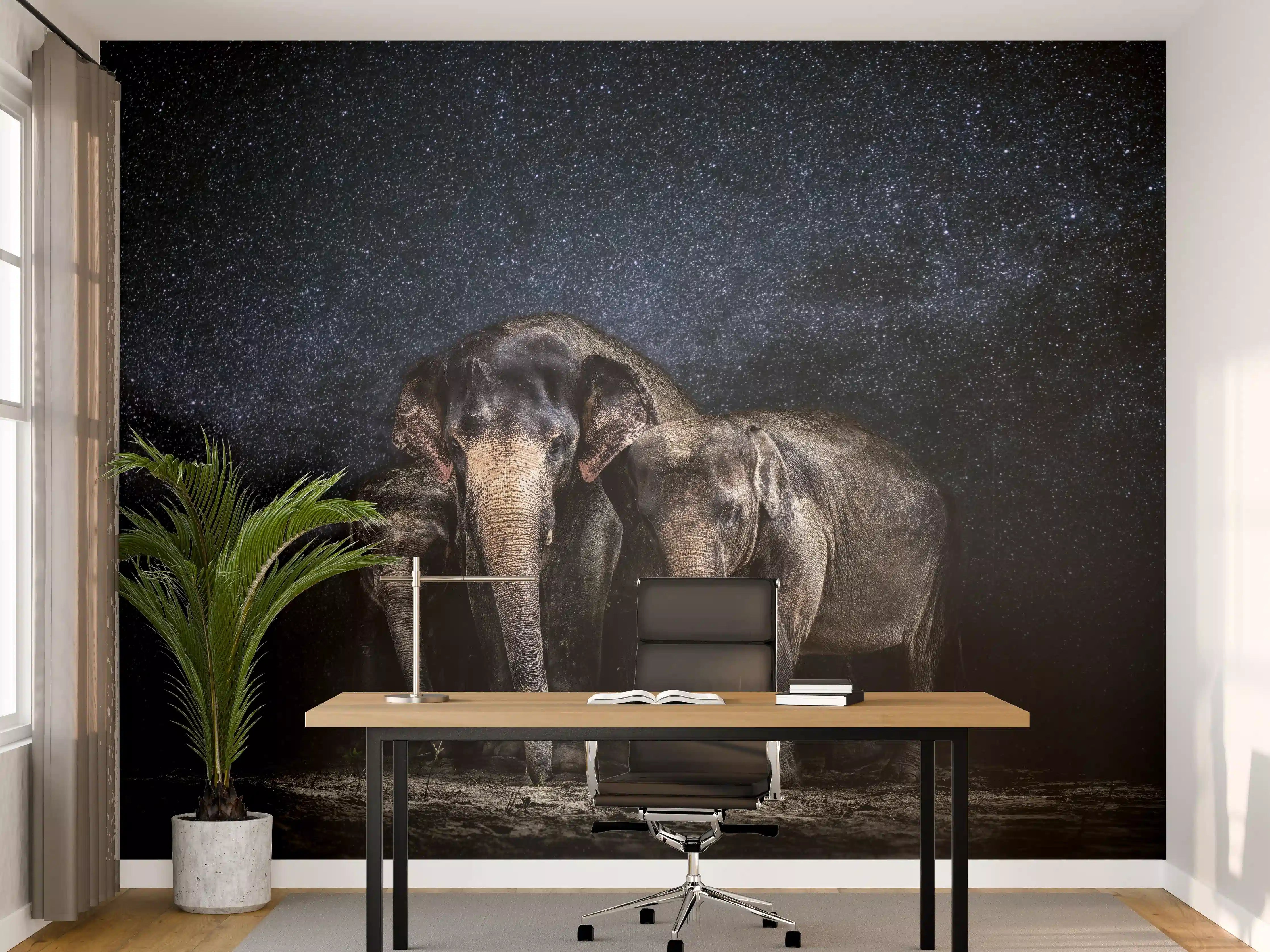 Büro Wandgestaltung - Elefantenfamilie zwischen den Sternen