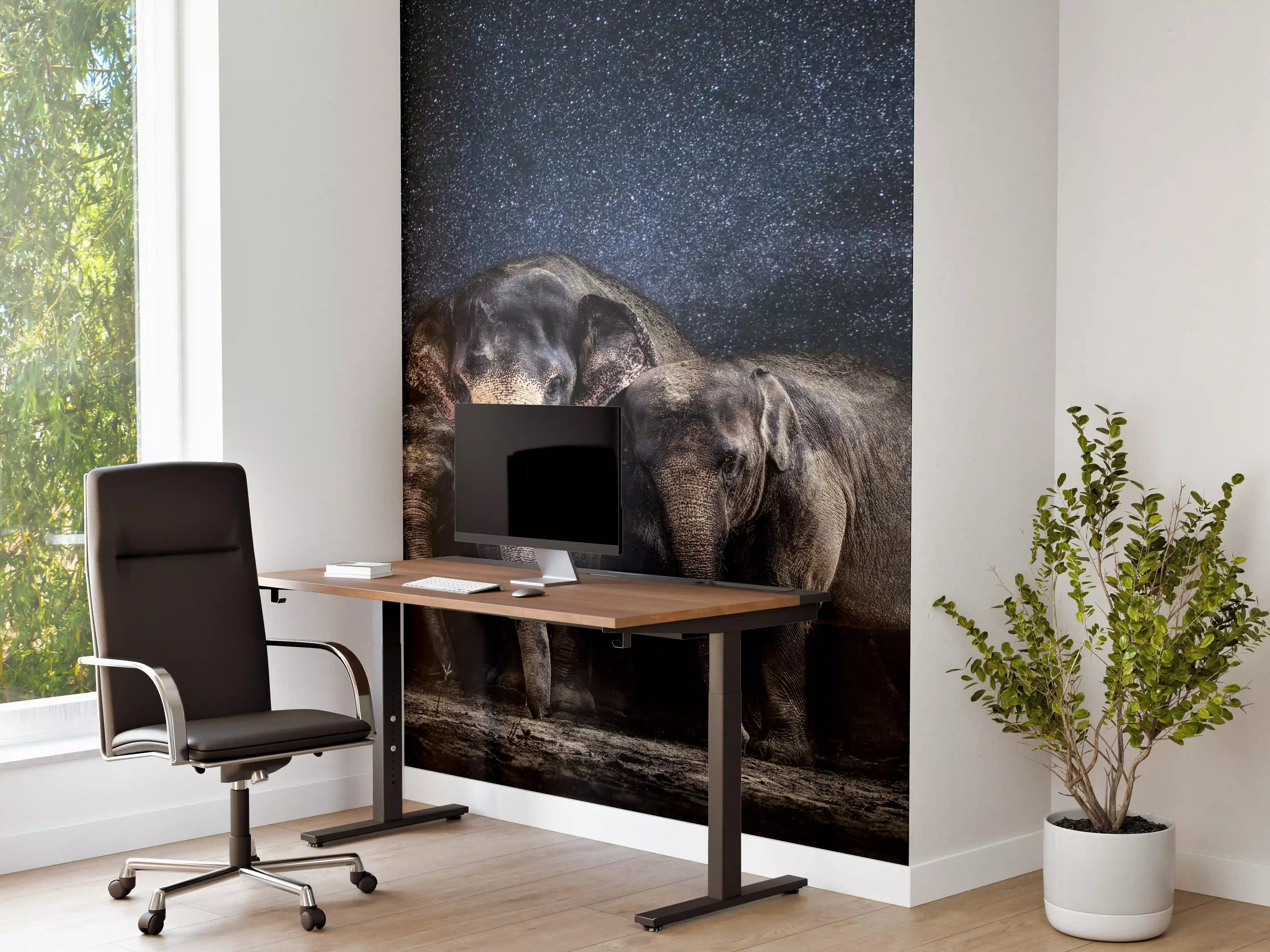 Büro Wandgestaltung - Elefantenfamilie zwischen den Sternen