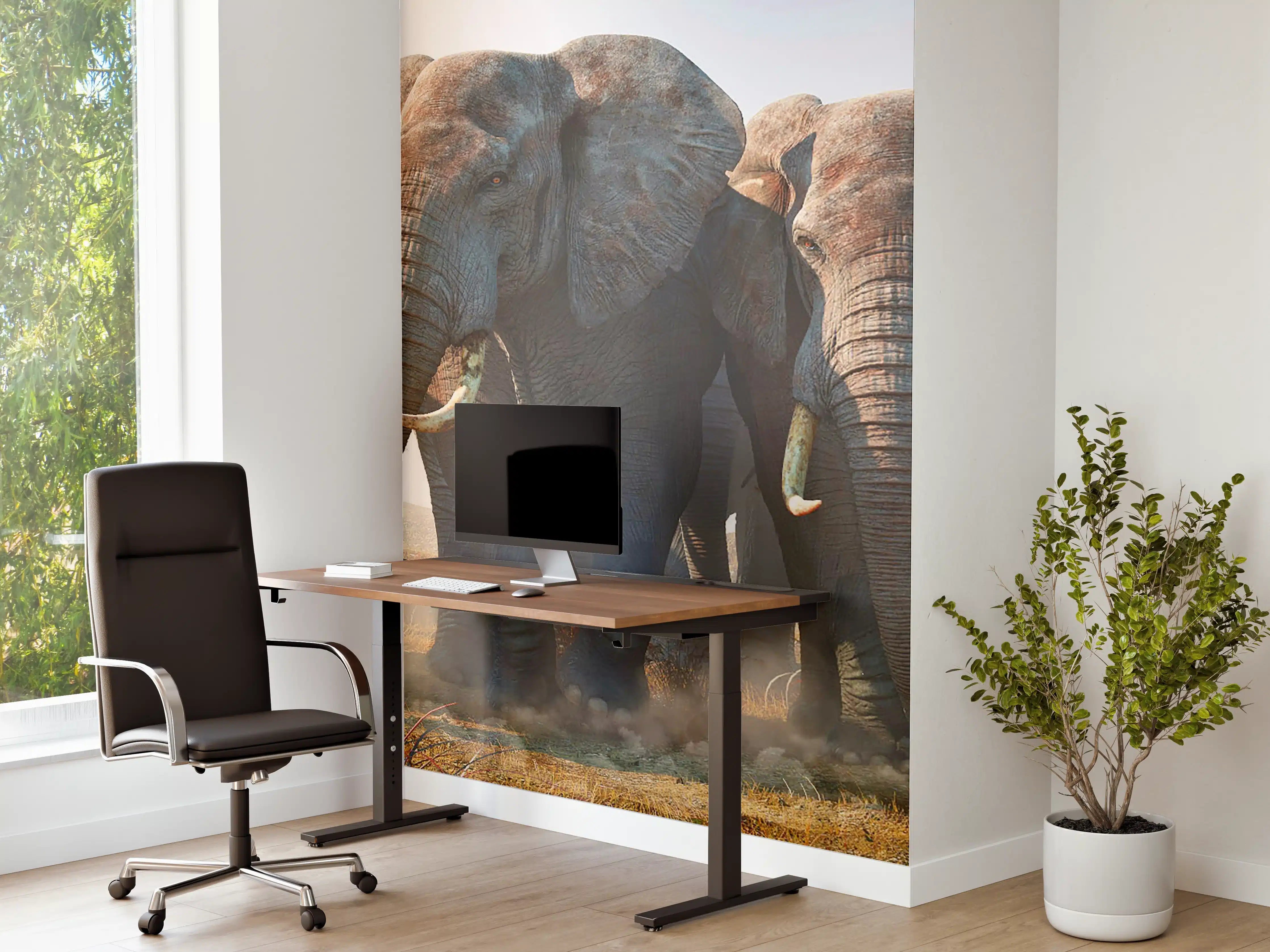 Büro Wandgestaltung - Elefantenherde in der Wüste