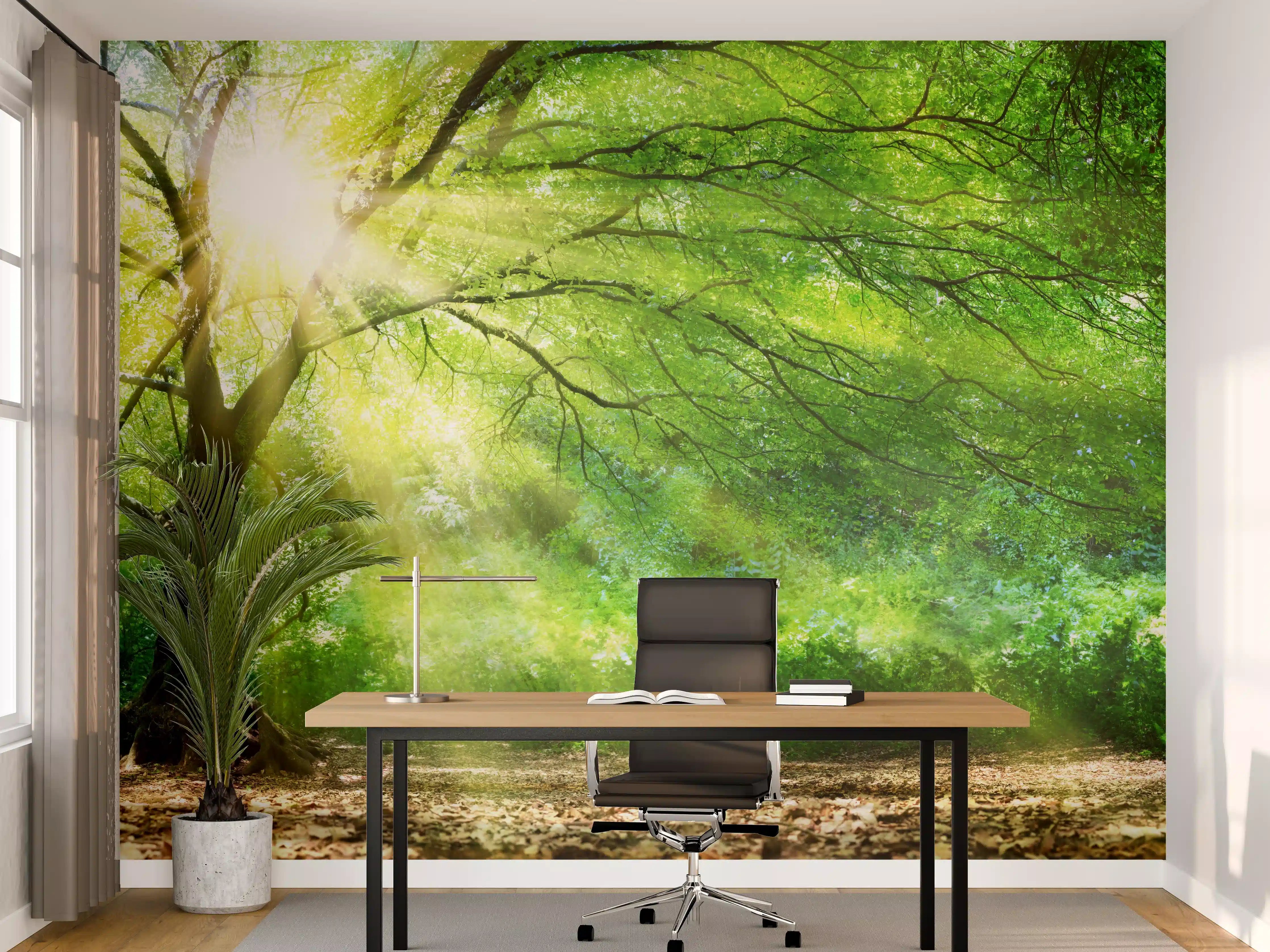 Büro Wandgestaltung - Energiegeladener Wald