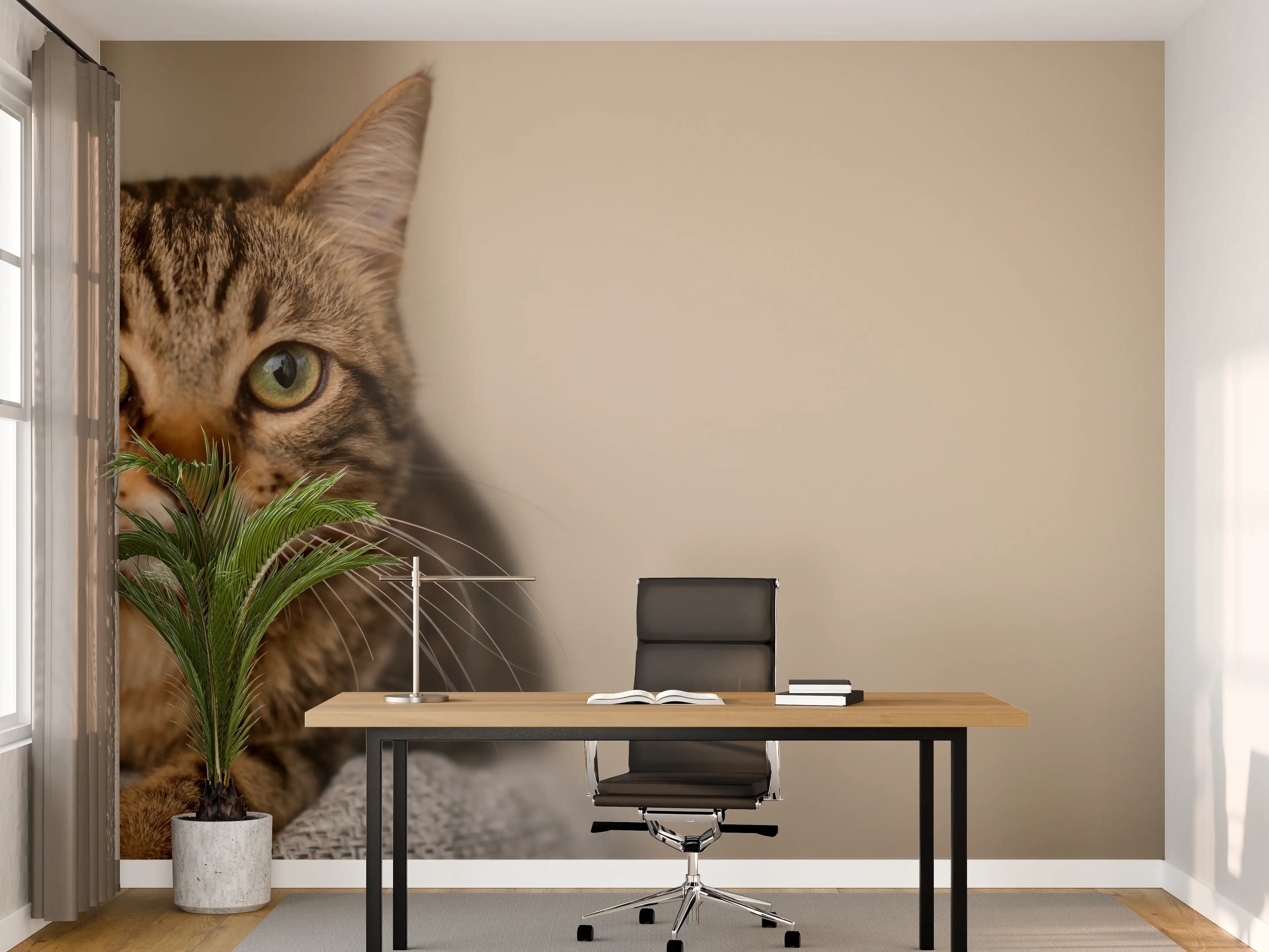 Büro Wandgestaltung - Entspannte Hauskatze in Beige-Braun