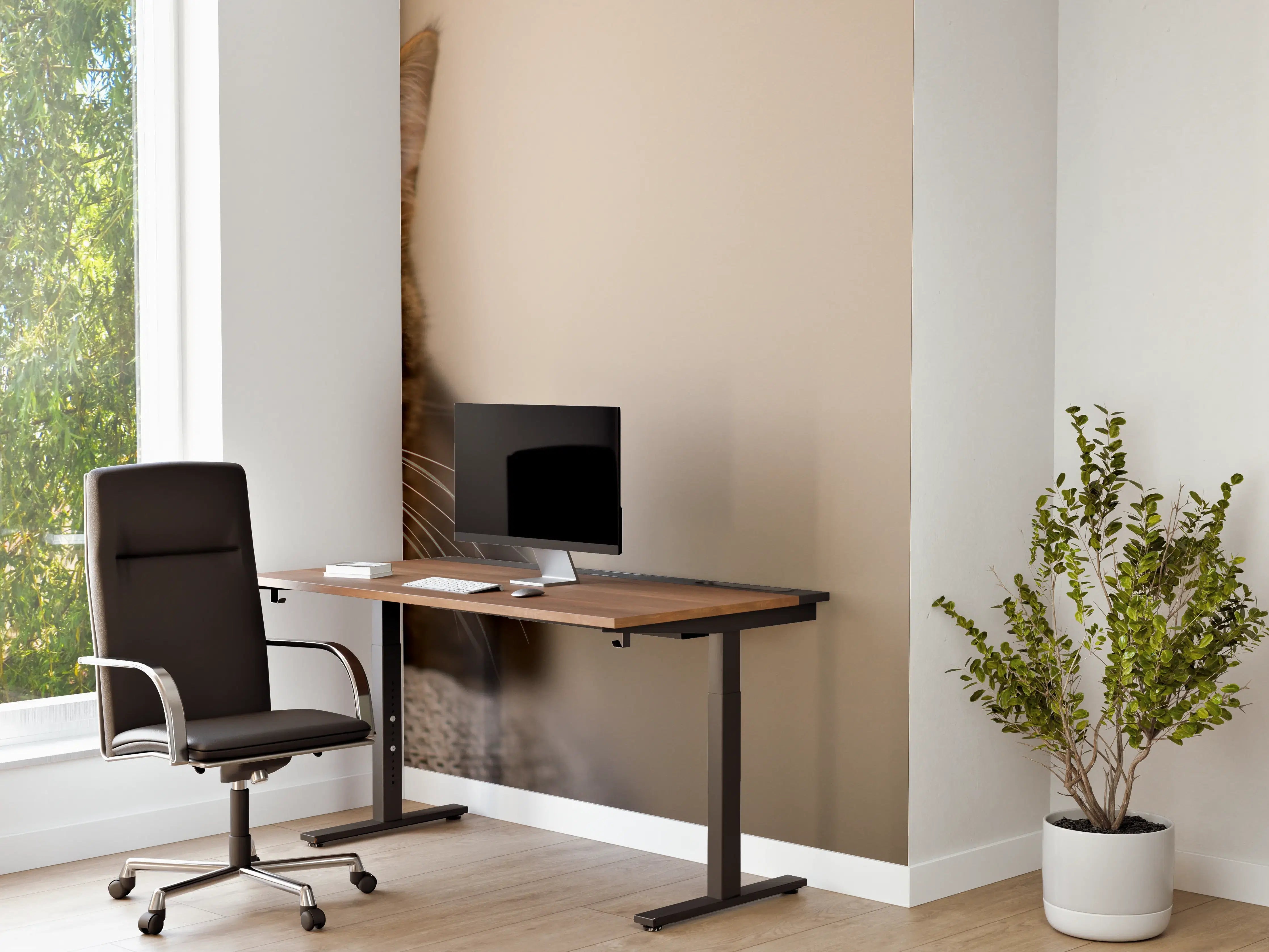 Büro Wandgestaltung - Entspannte Hauskatze in Beige-Braun