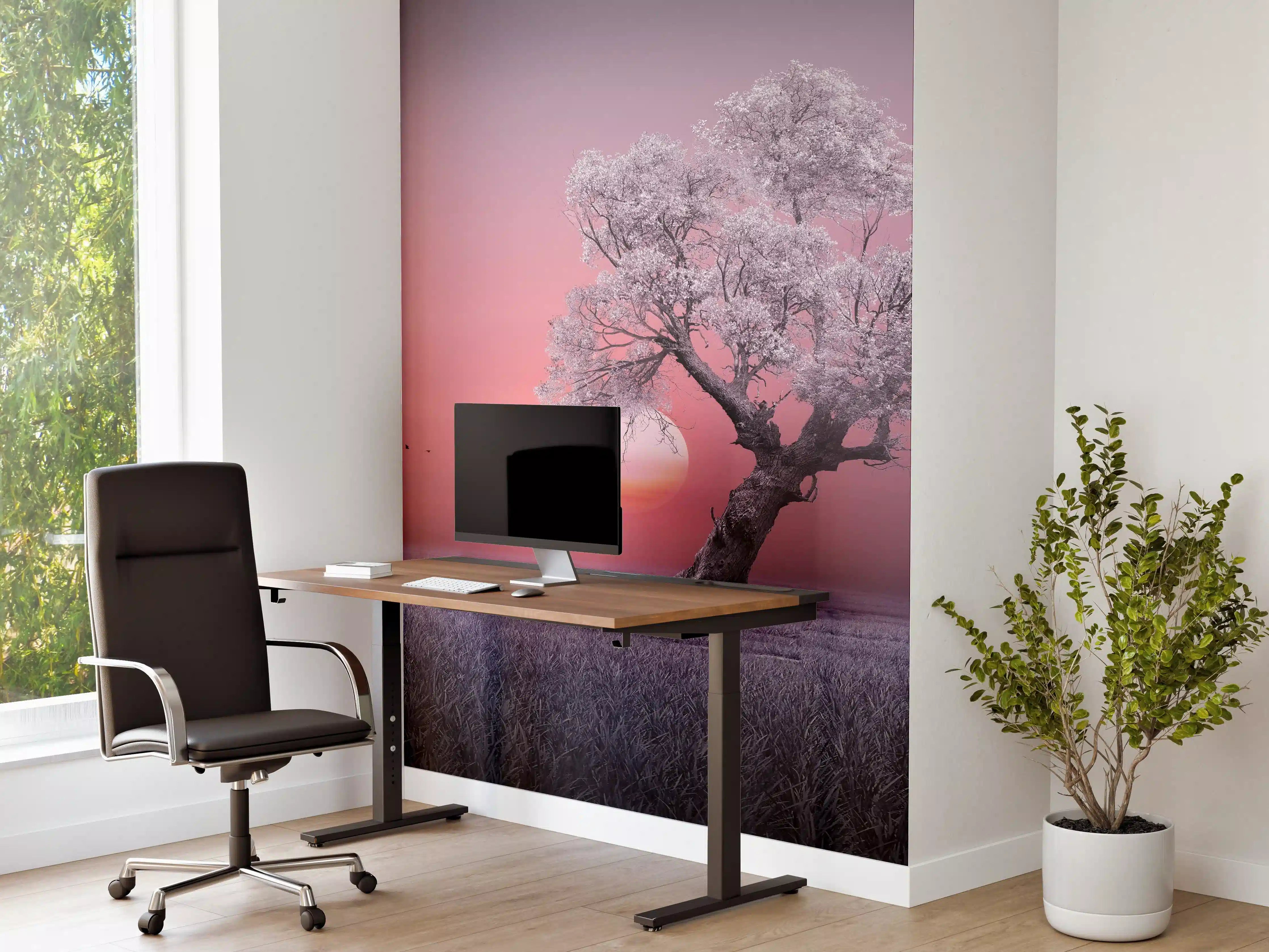 Büro Wandgestaltung - Erstaunlicher Morgengrauen