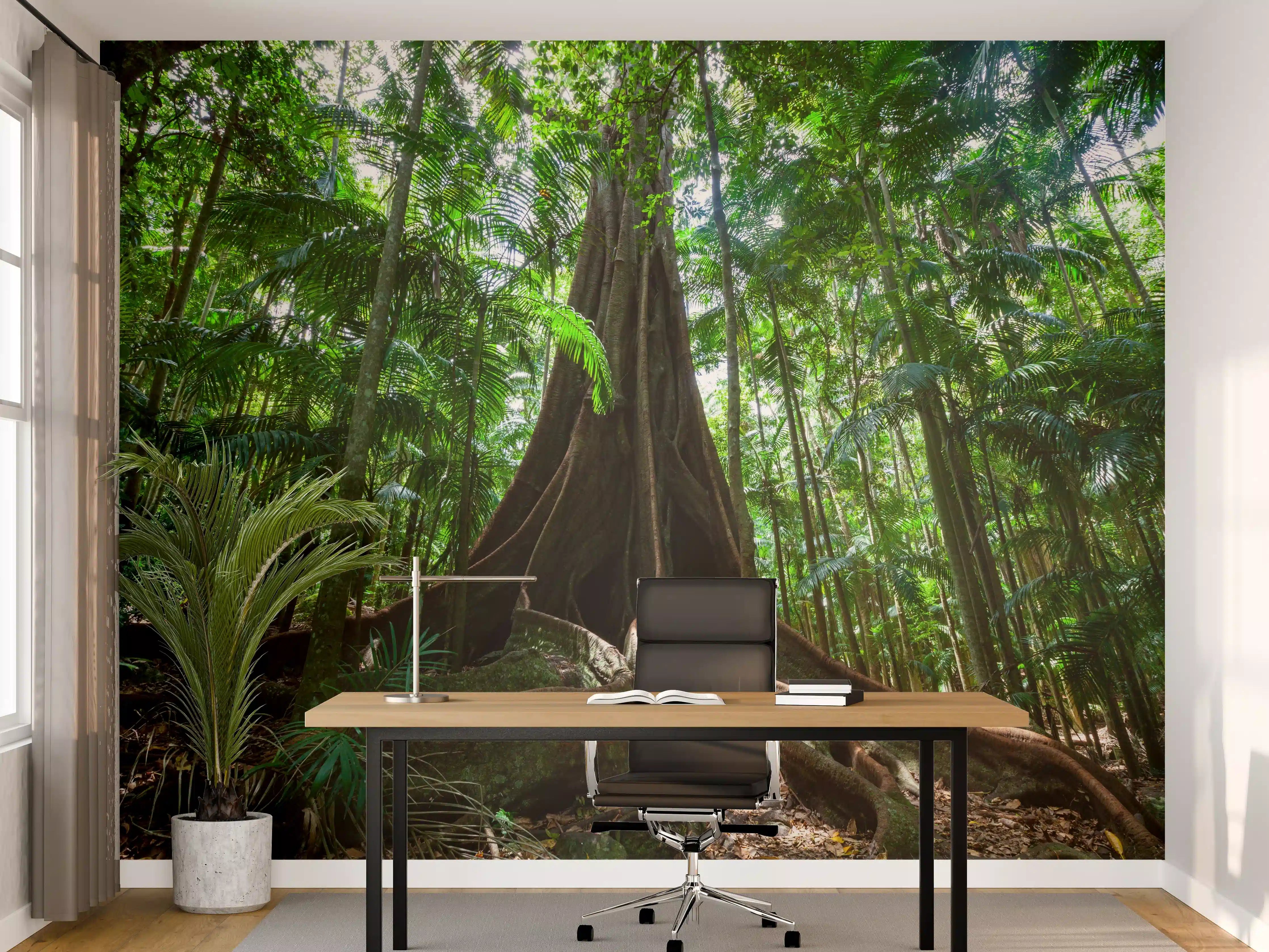 Büro Wandgestaltung - Erstaunlicher Riesenfeigenbaum