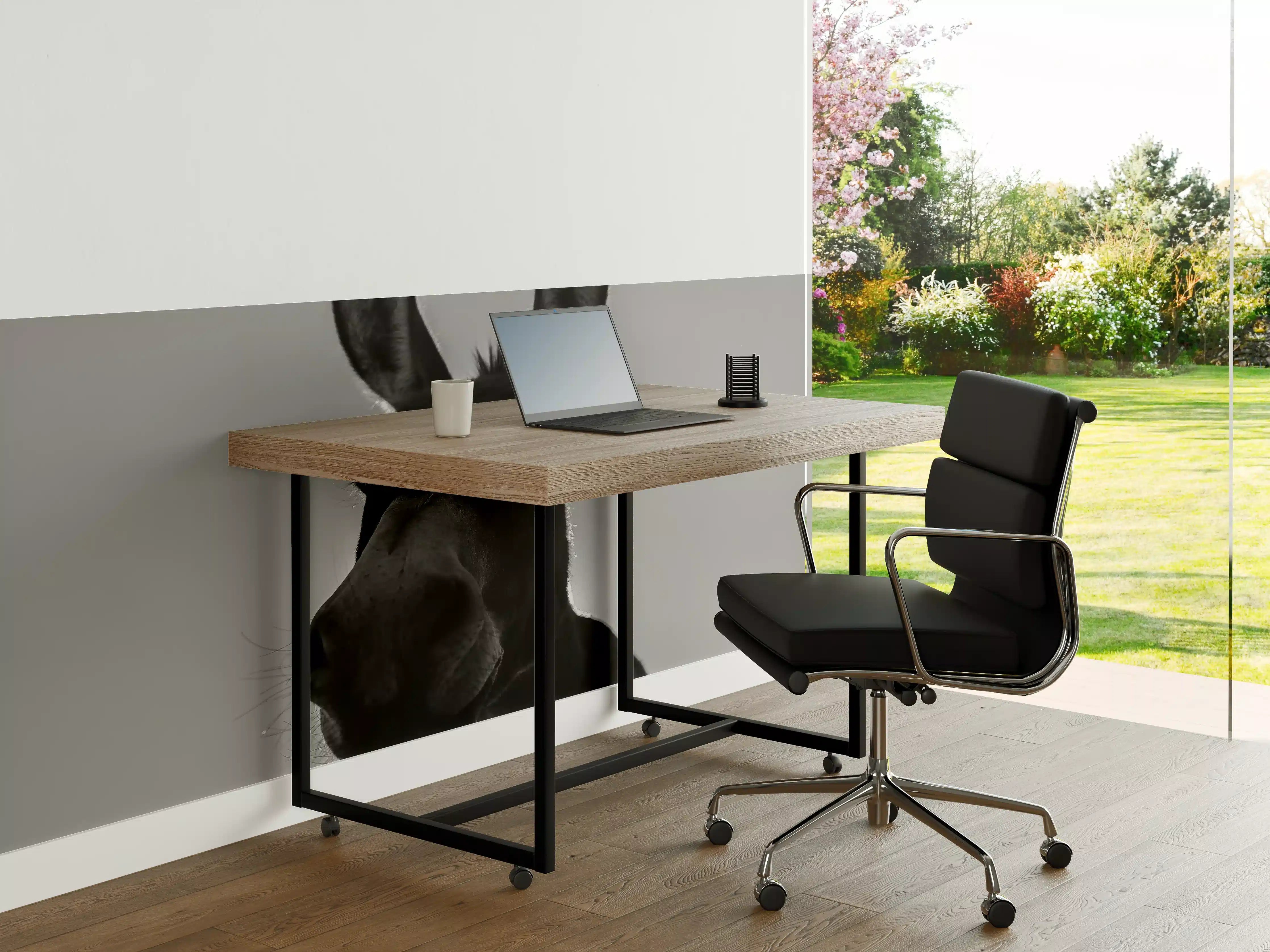 Büro Wandgestaltung - Esel - schwarz-weiß